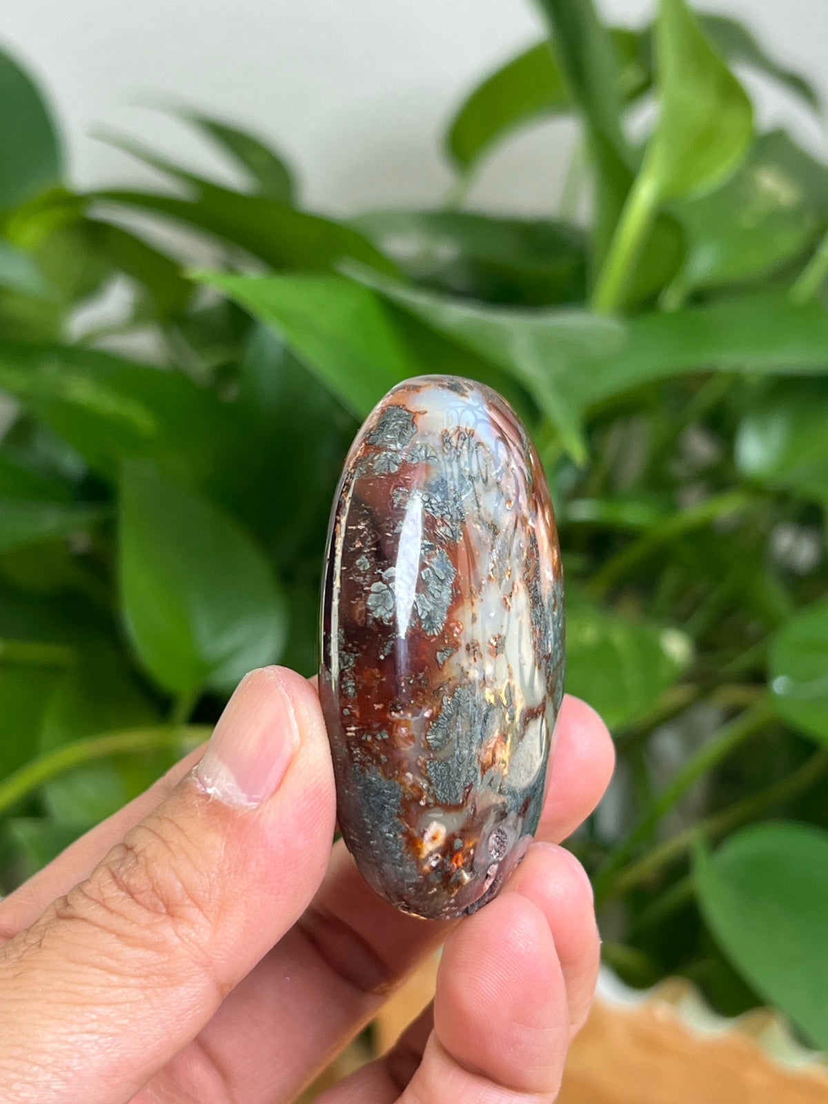 Marcasite Palmstone: BC
