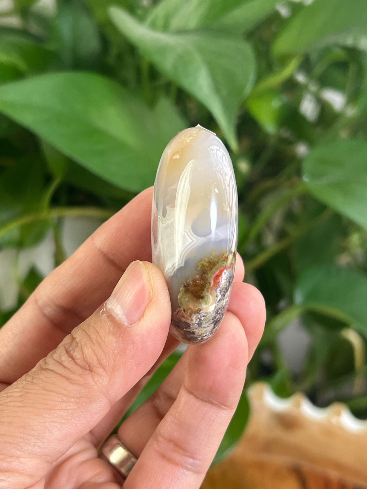 Scenic Moss Agate Palmstone: DC