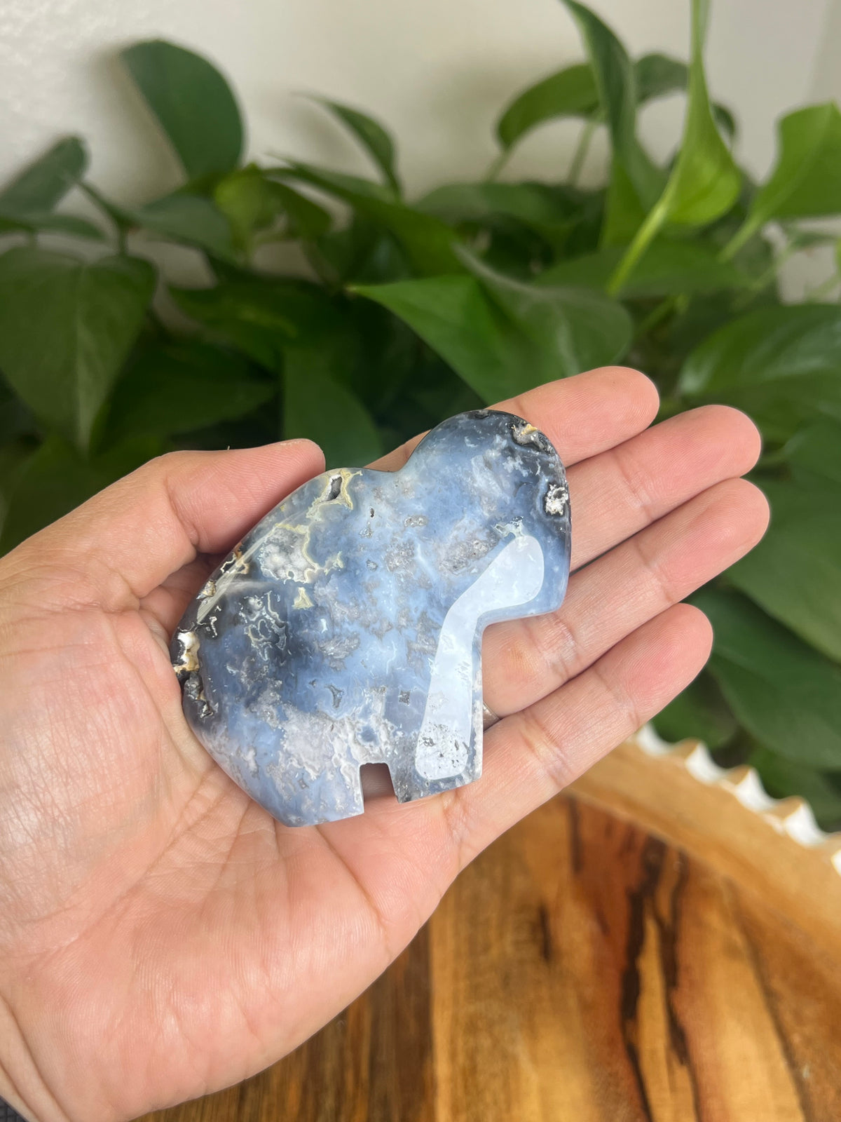 Blue Plume Agate Buffalo: BK