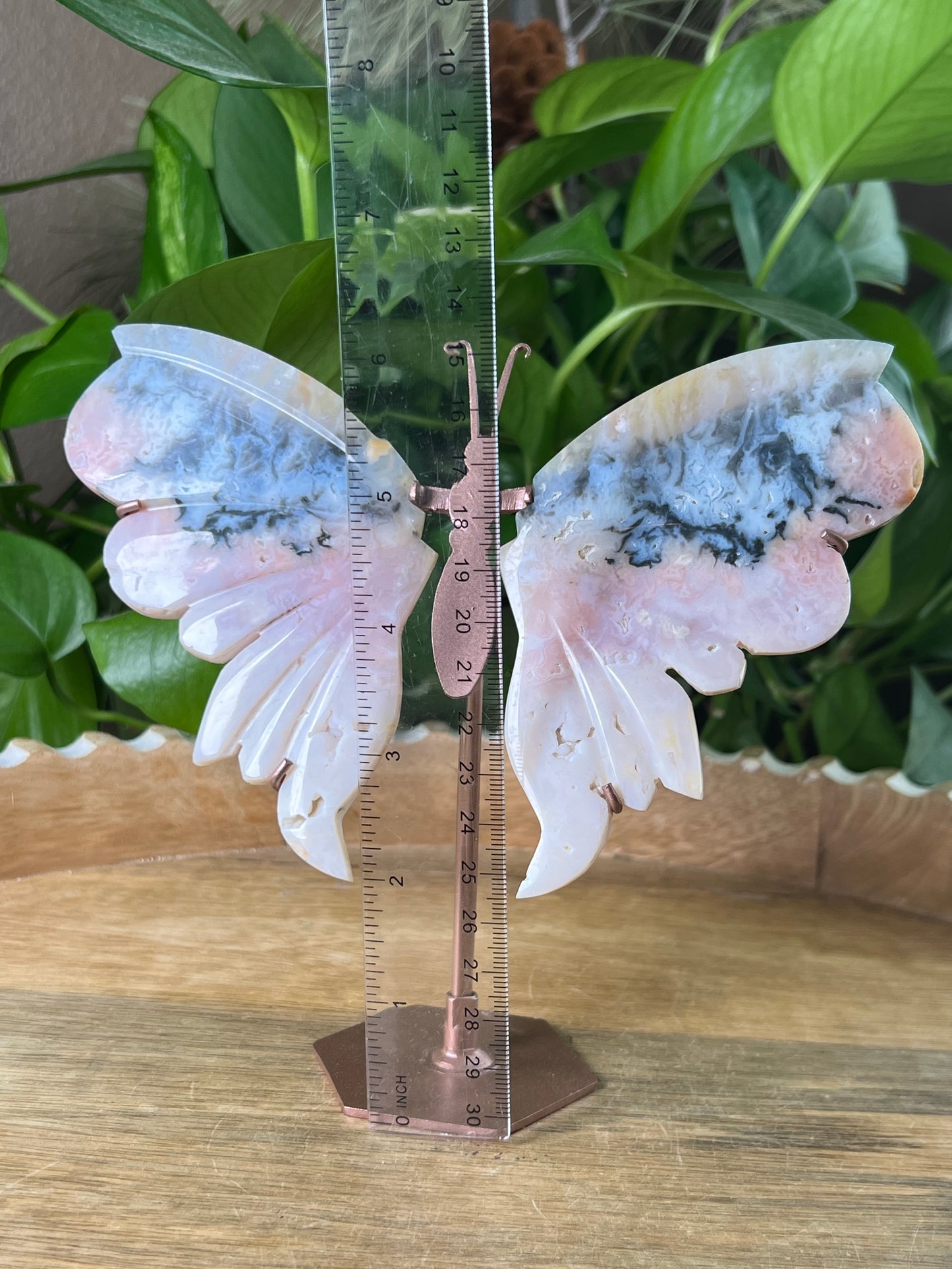 Rainbow Plume Agate Wings