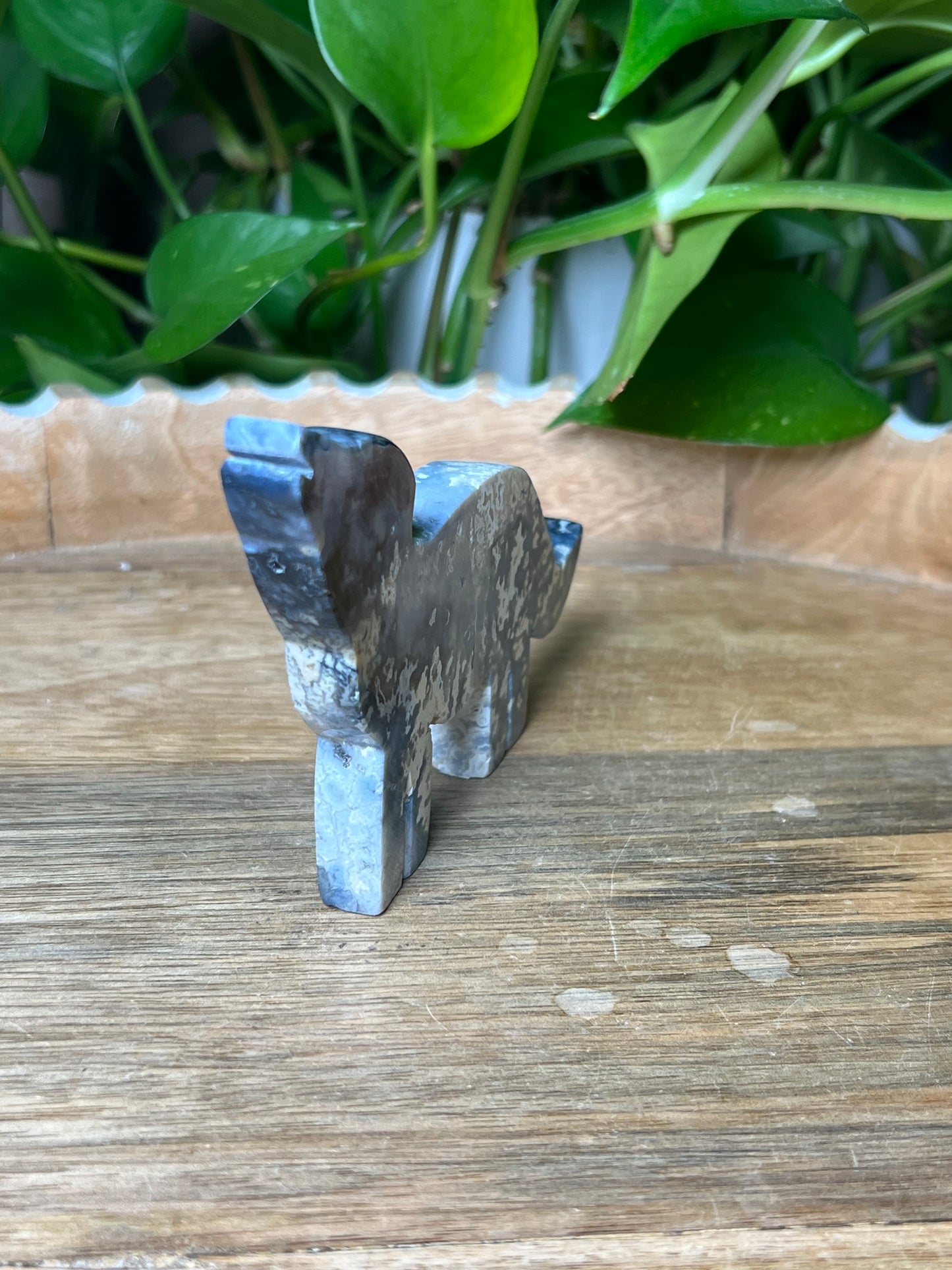 Blue Plume Agate Dog