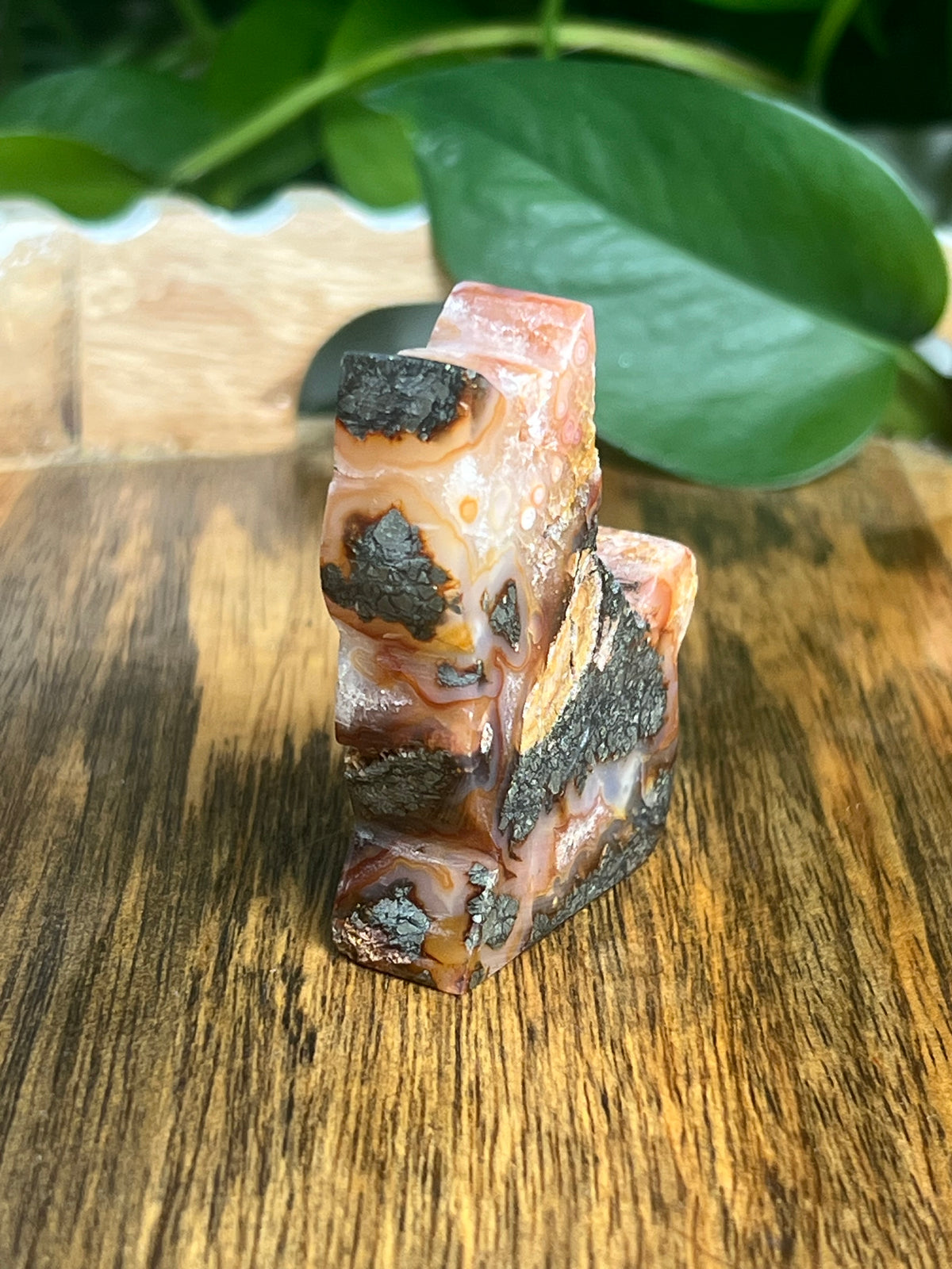 Marcasite Cat: XA