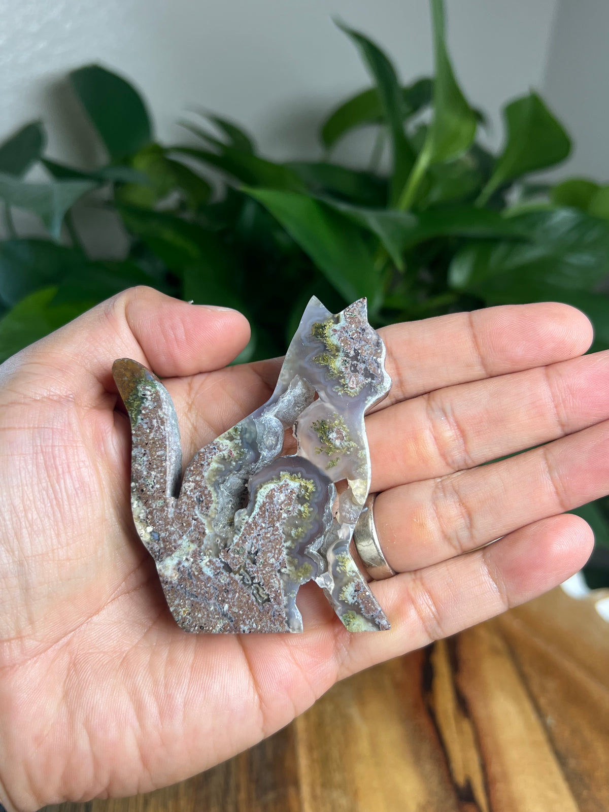 Scenic Moss Agate Cat: RH