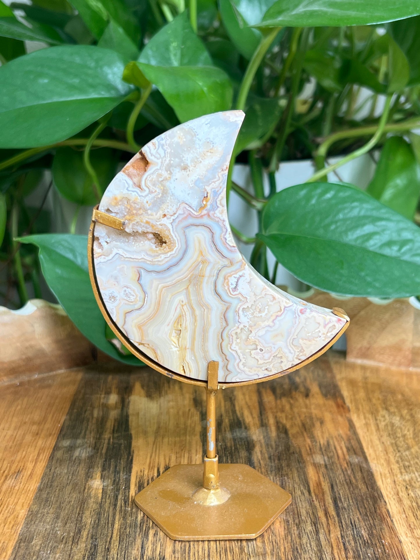 Yellow Crazy Lace Agate Moon: DB
