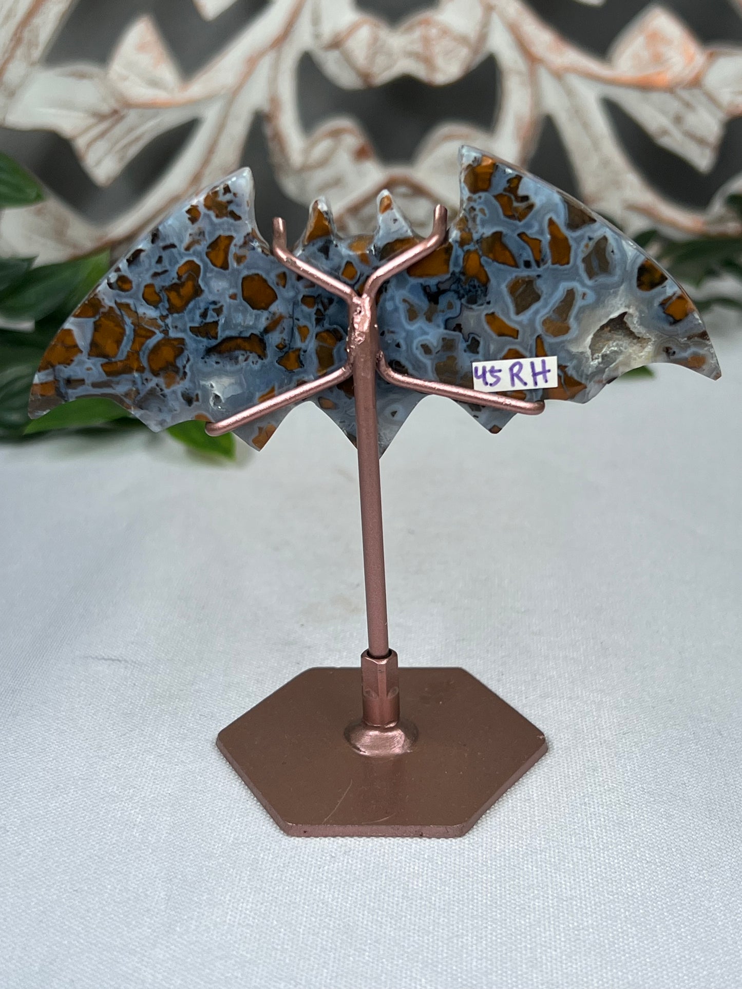 Indonesian Cotton Candy Bat