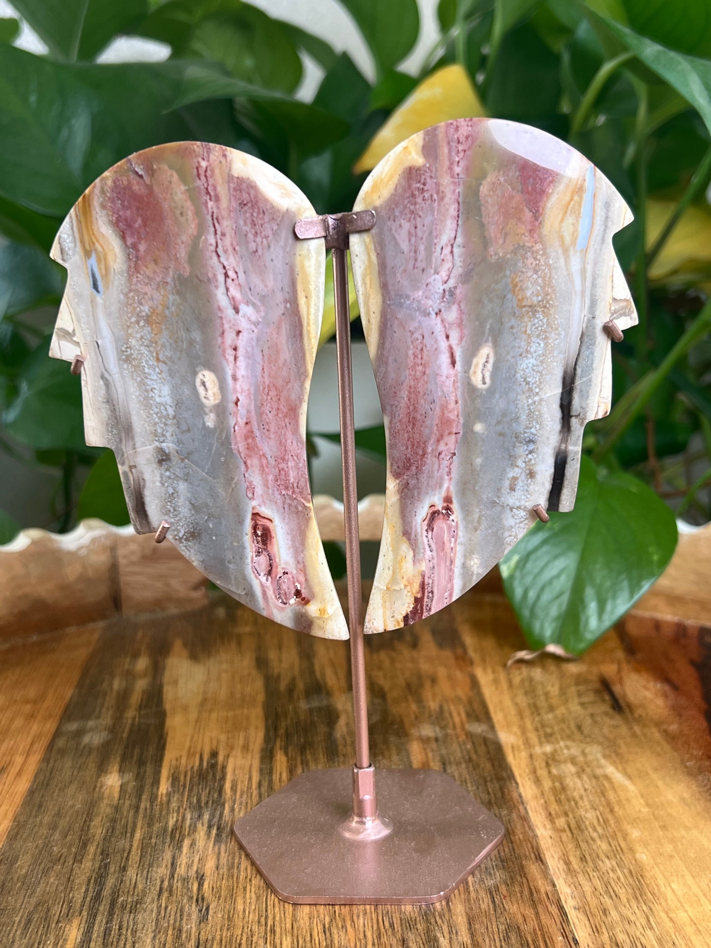 River Jasper Wings BL