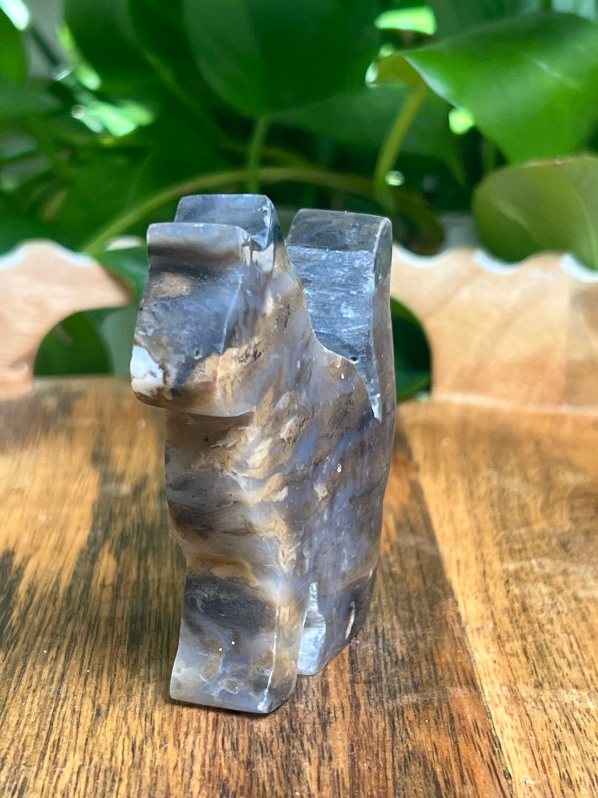 Dendritic Tiger Agate Cat: QB