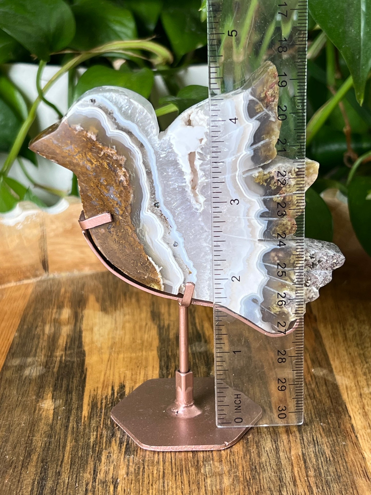 Scenic Moss Agate Bird
