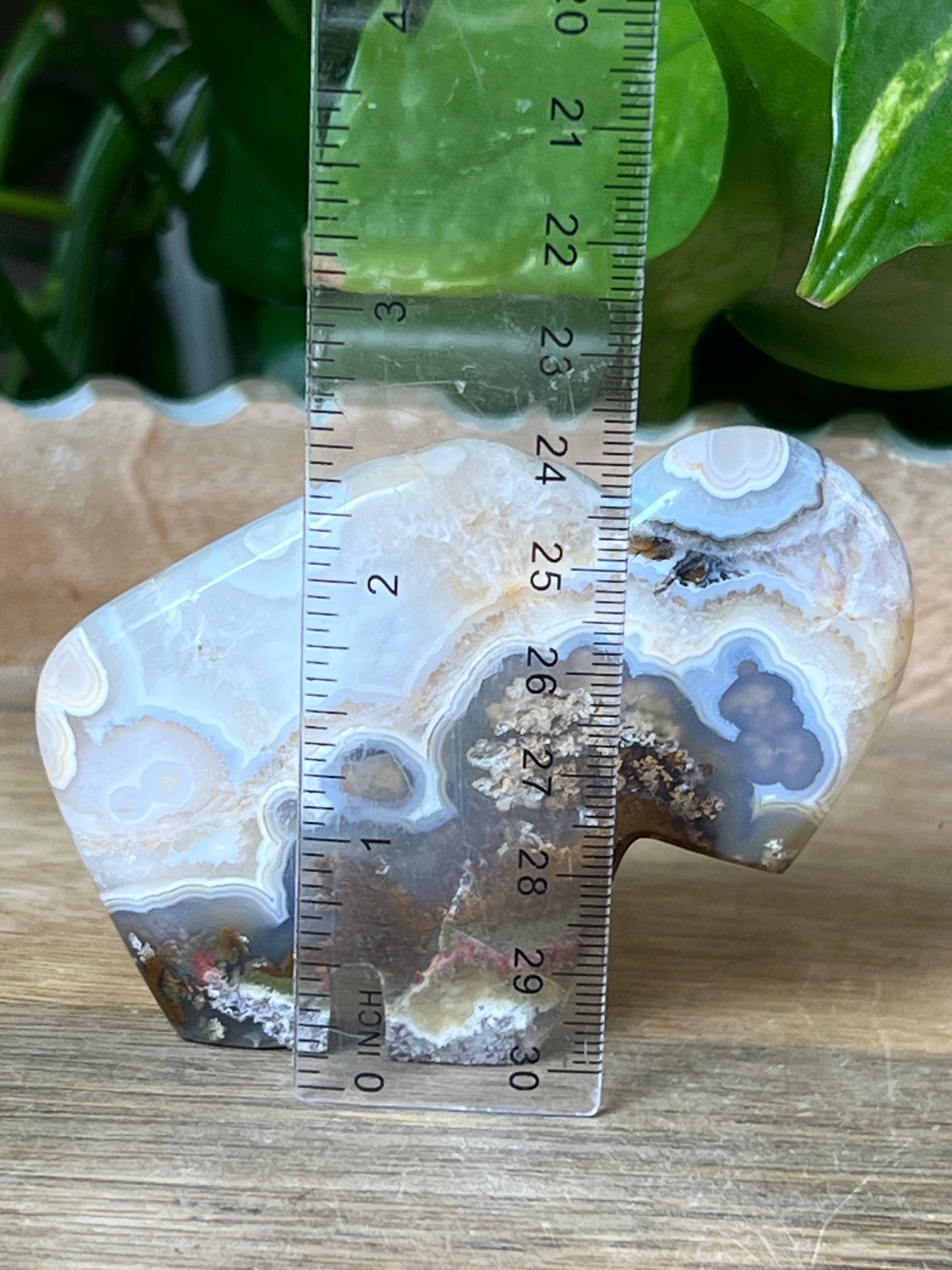 Scenic Moss Agate Buffalo