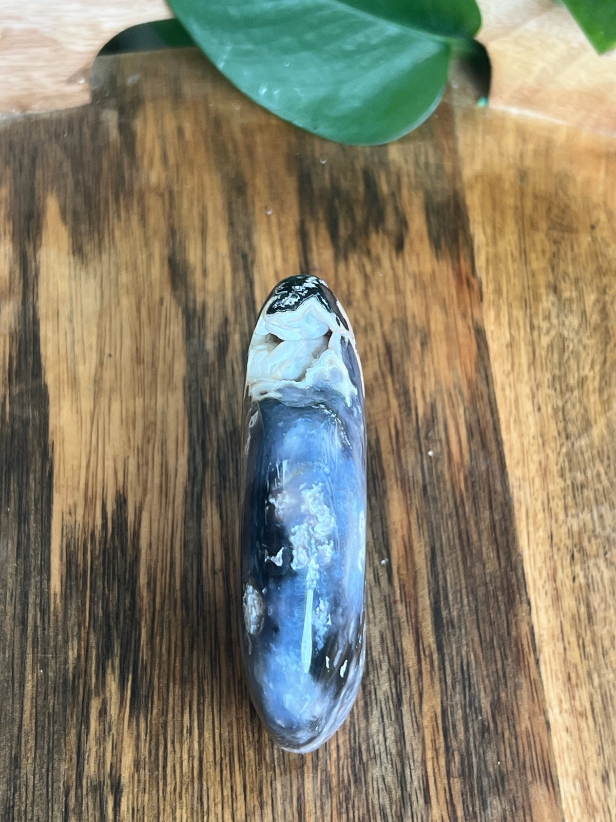 Blue Plume Agate Buffalo: BE