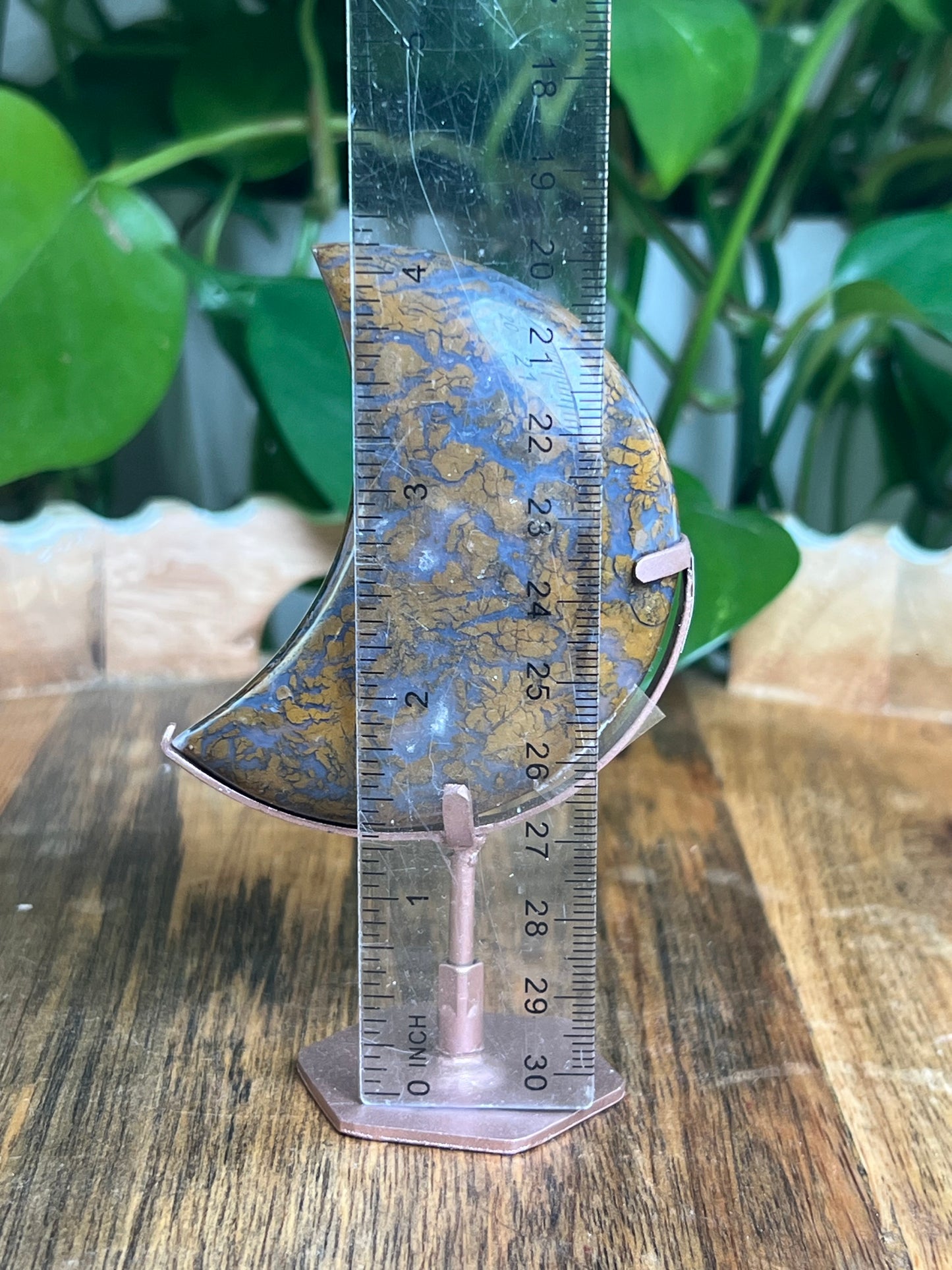 Brecciated Jasper Moon: BX