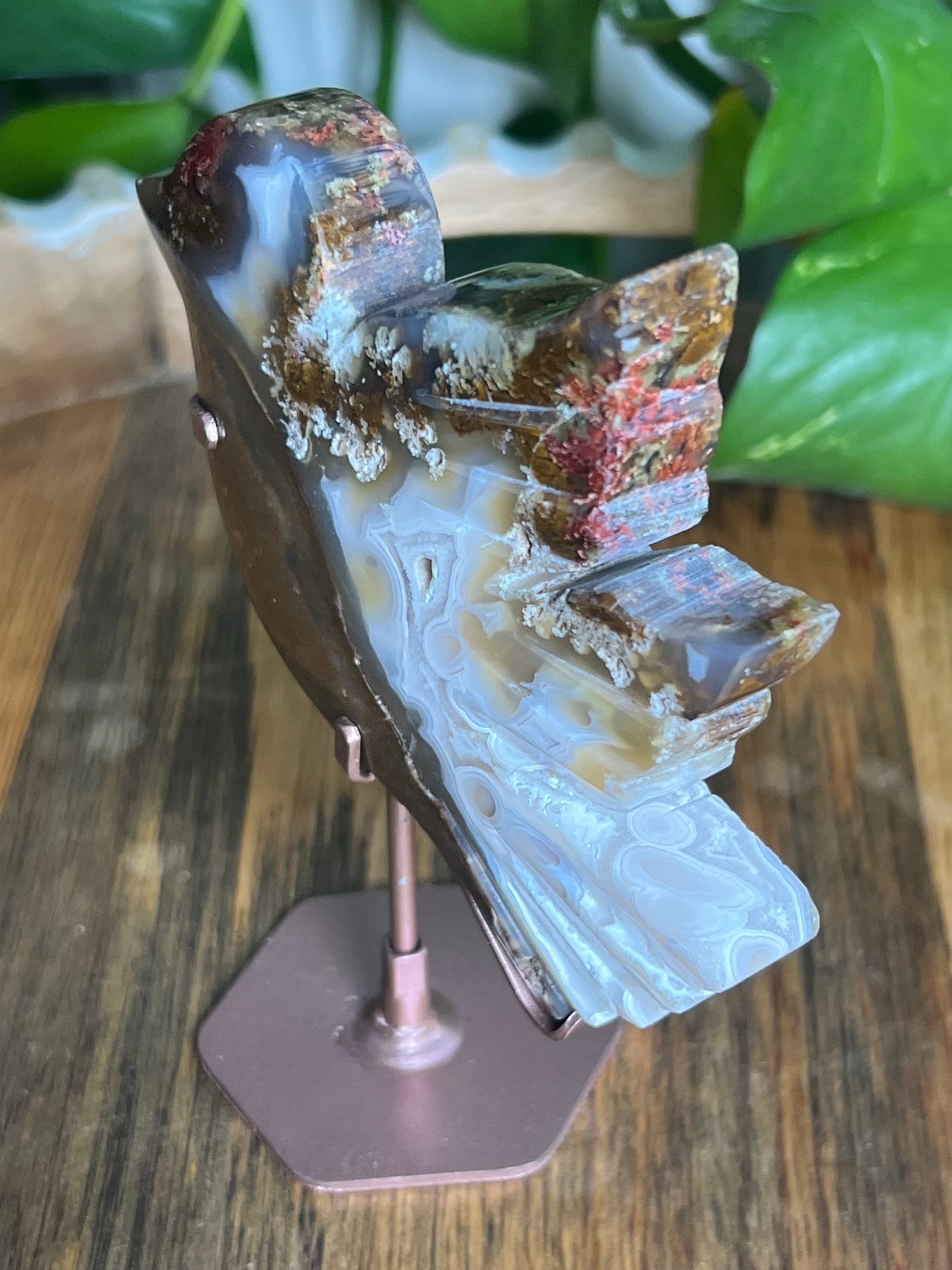 Scenic Moss Agate Bird