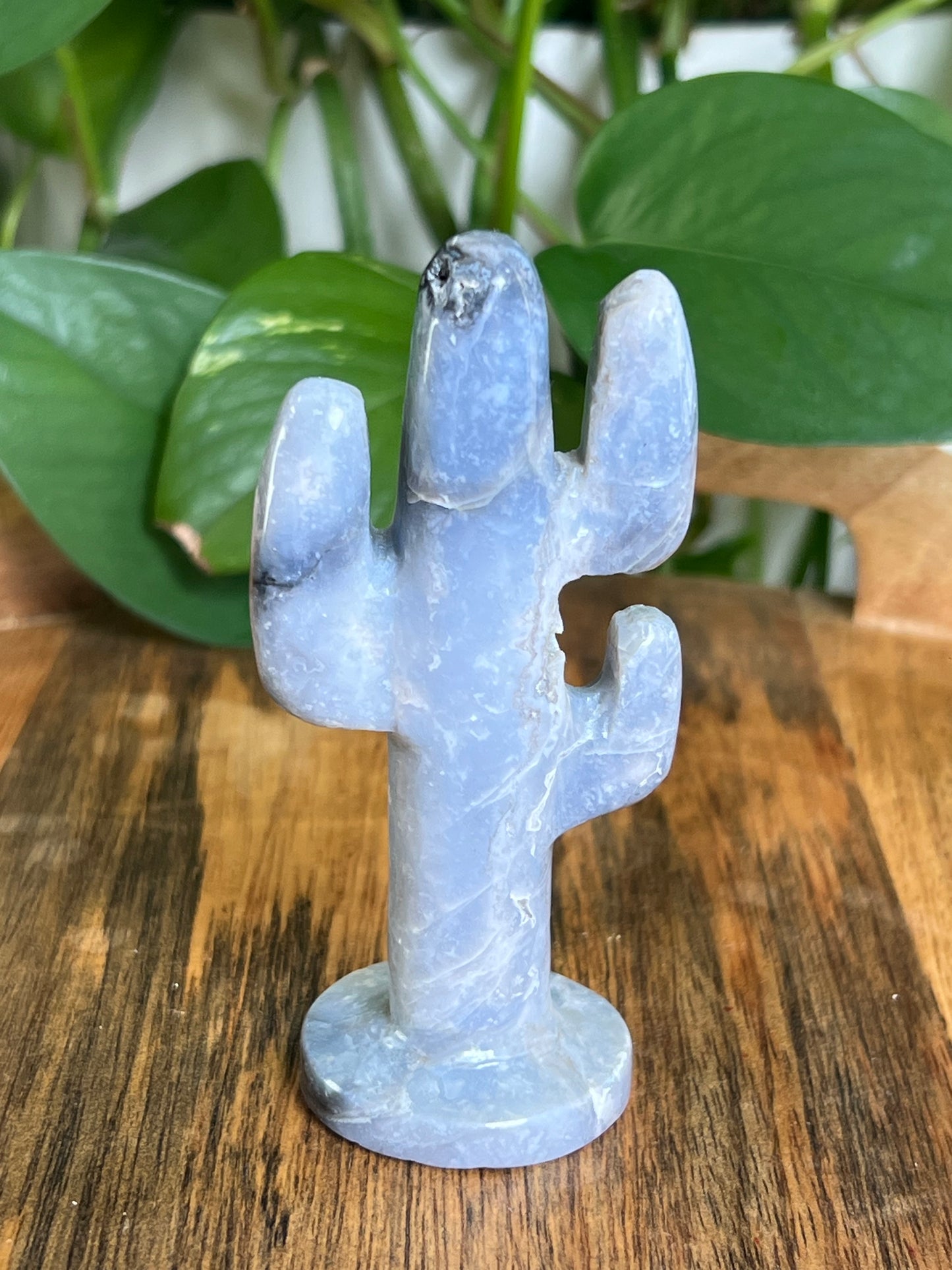 Blue Plume Agate Cactus: CB