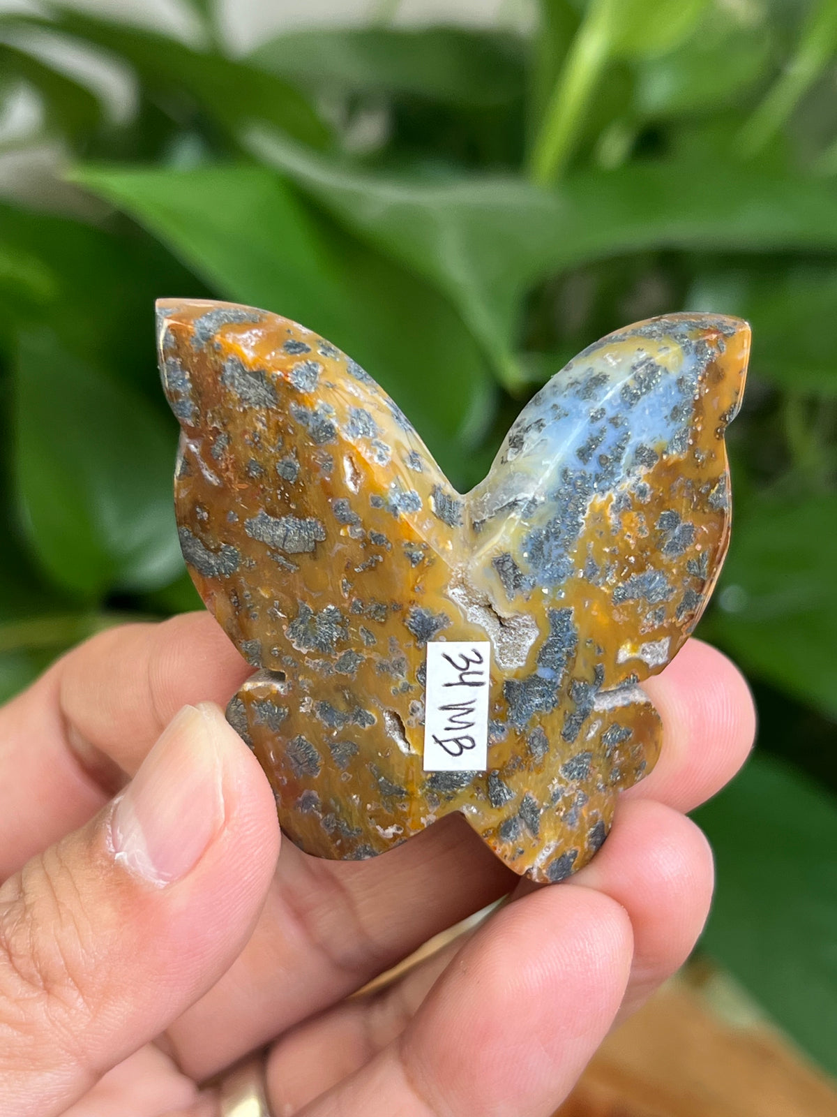 Marcasite 3D Butterfly: MB