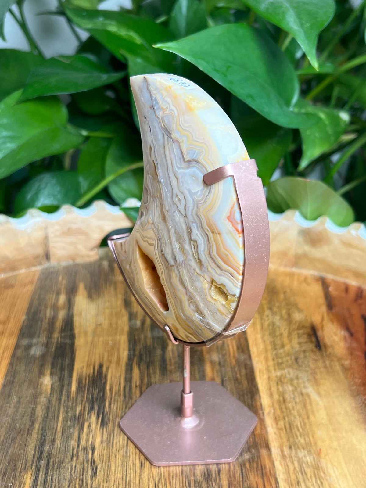 Yellow Crazy Lace Agate Moon: ZA