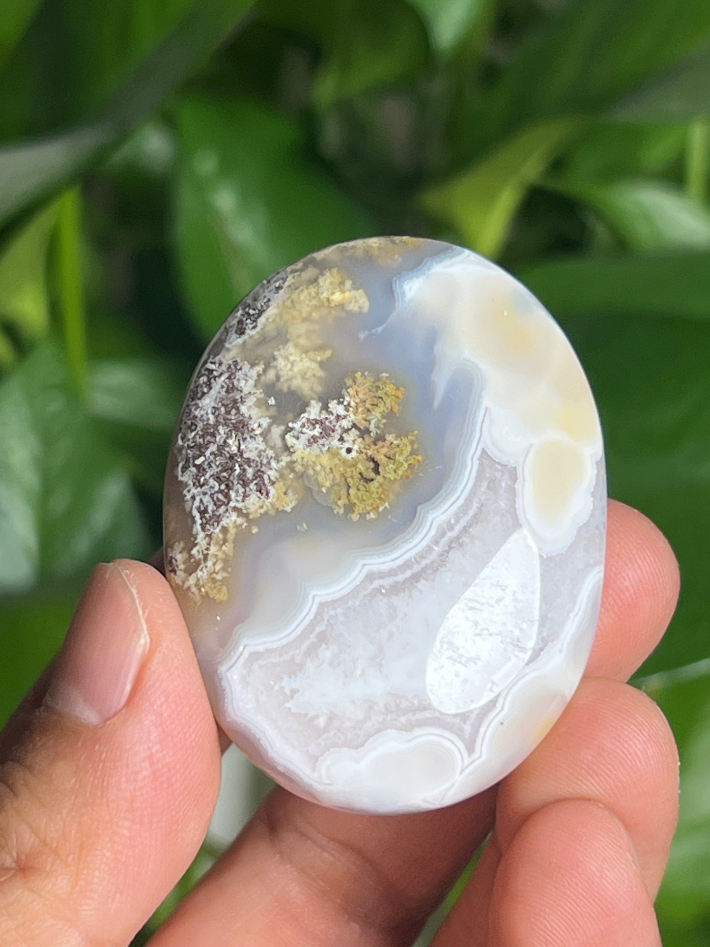 Scenic Moss Agate Palmstone: BH