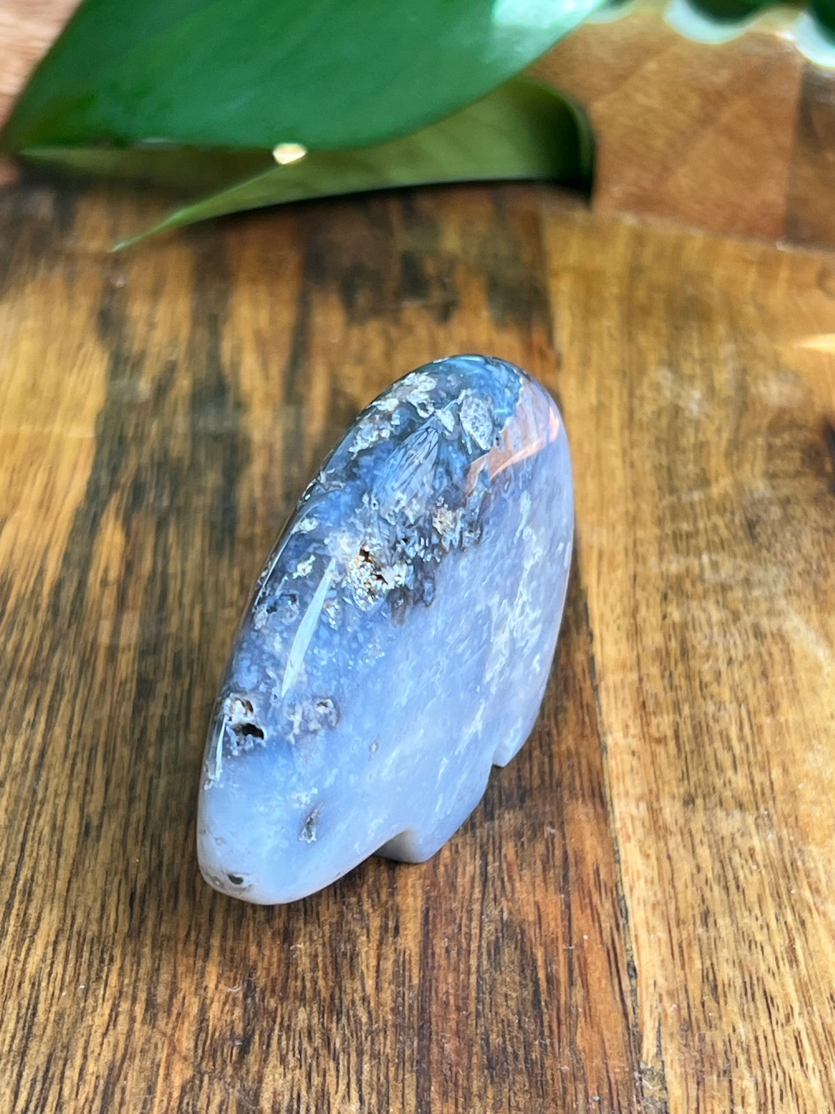 Blue Plume Agate Bear: DS