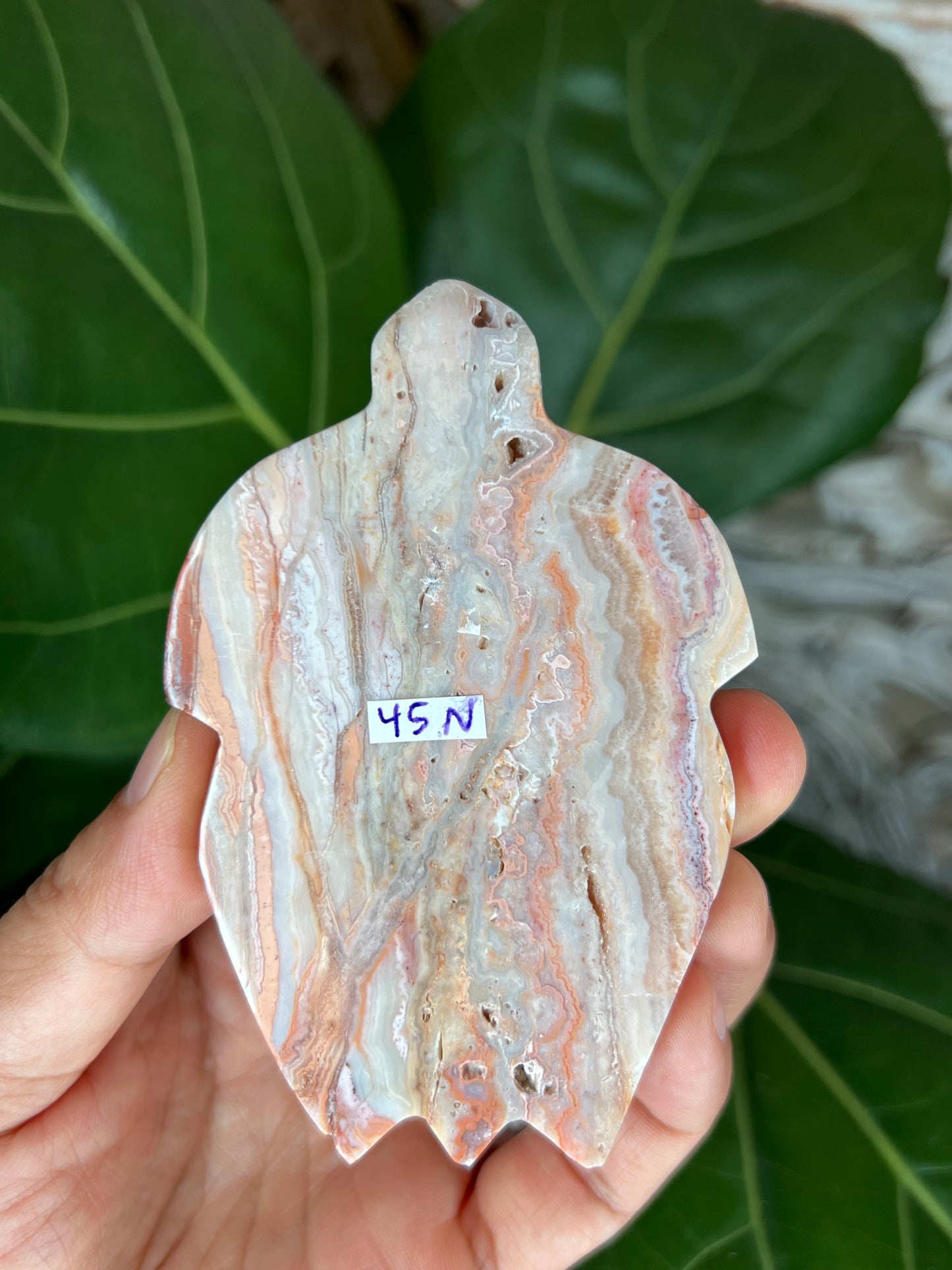 Crazy Lace Agate Turtle