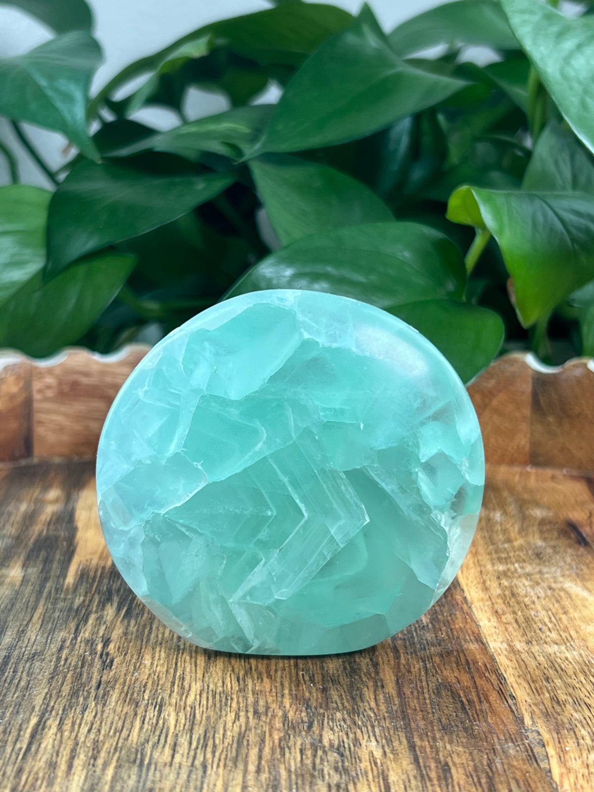 Mexican Flourite Freeform: K