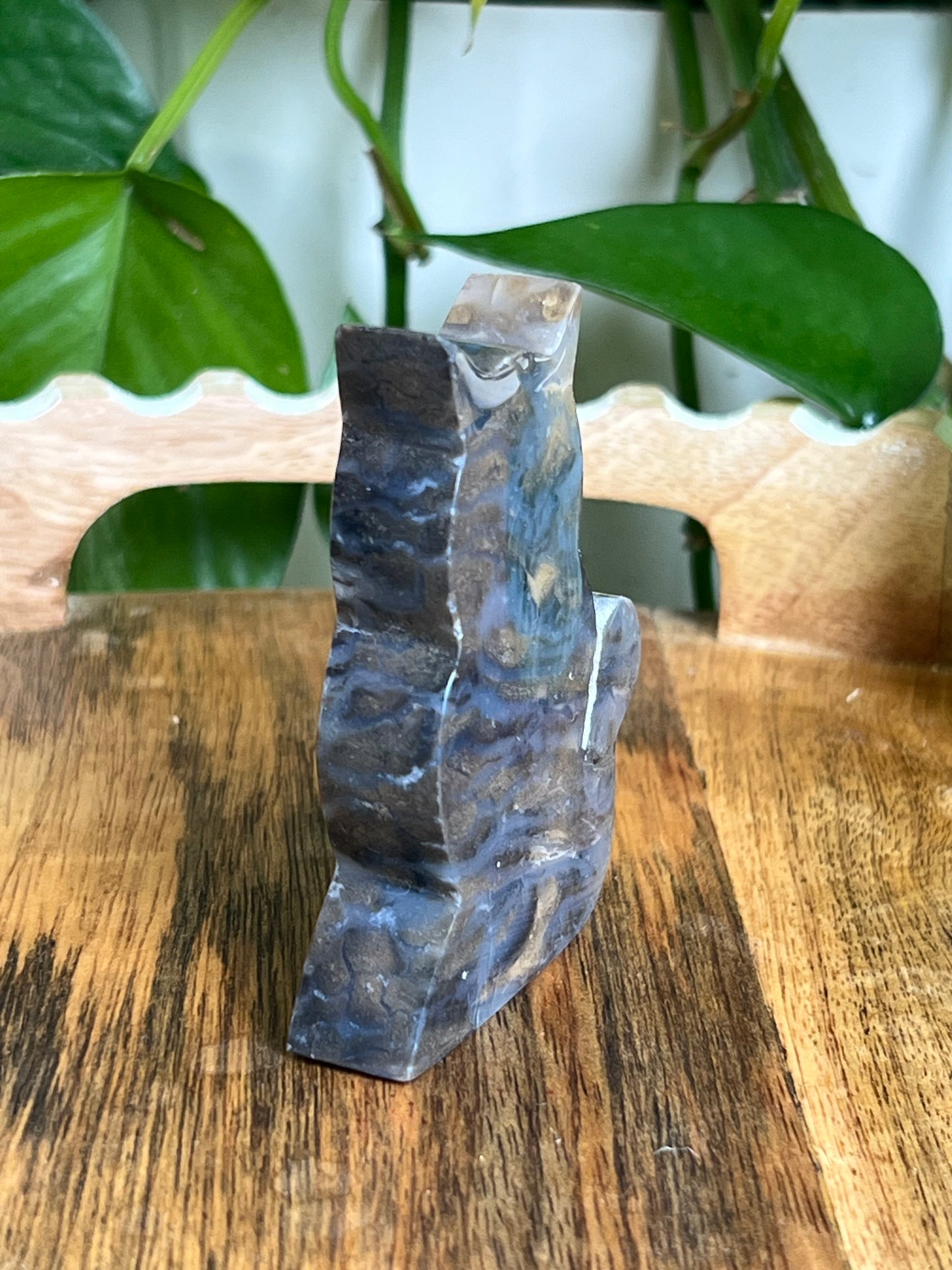 Dendritic Tiger Agate Cat AE