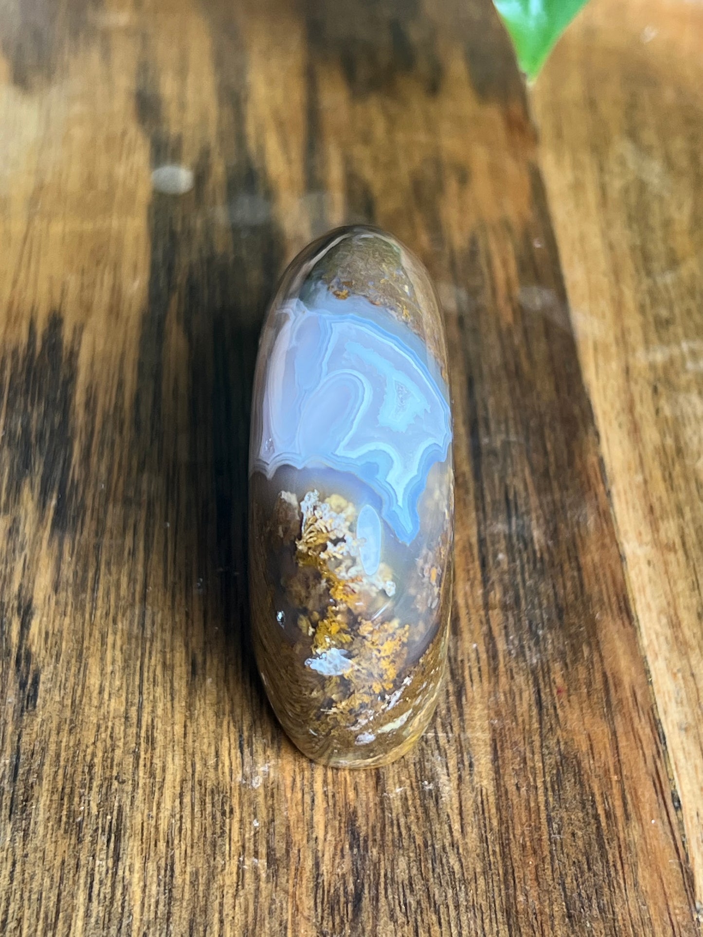 Scenic Moss Agate Bear BH