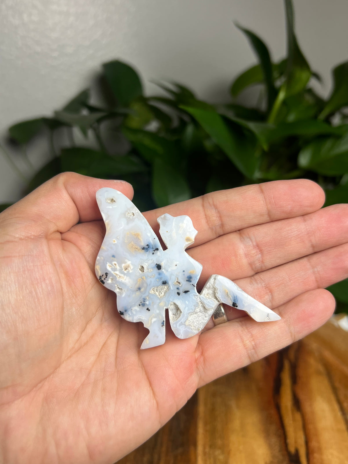 Dendritic Tiger Agate Fairy: AA