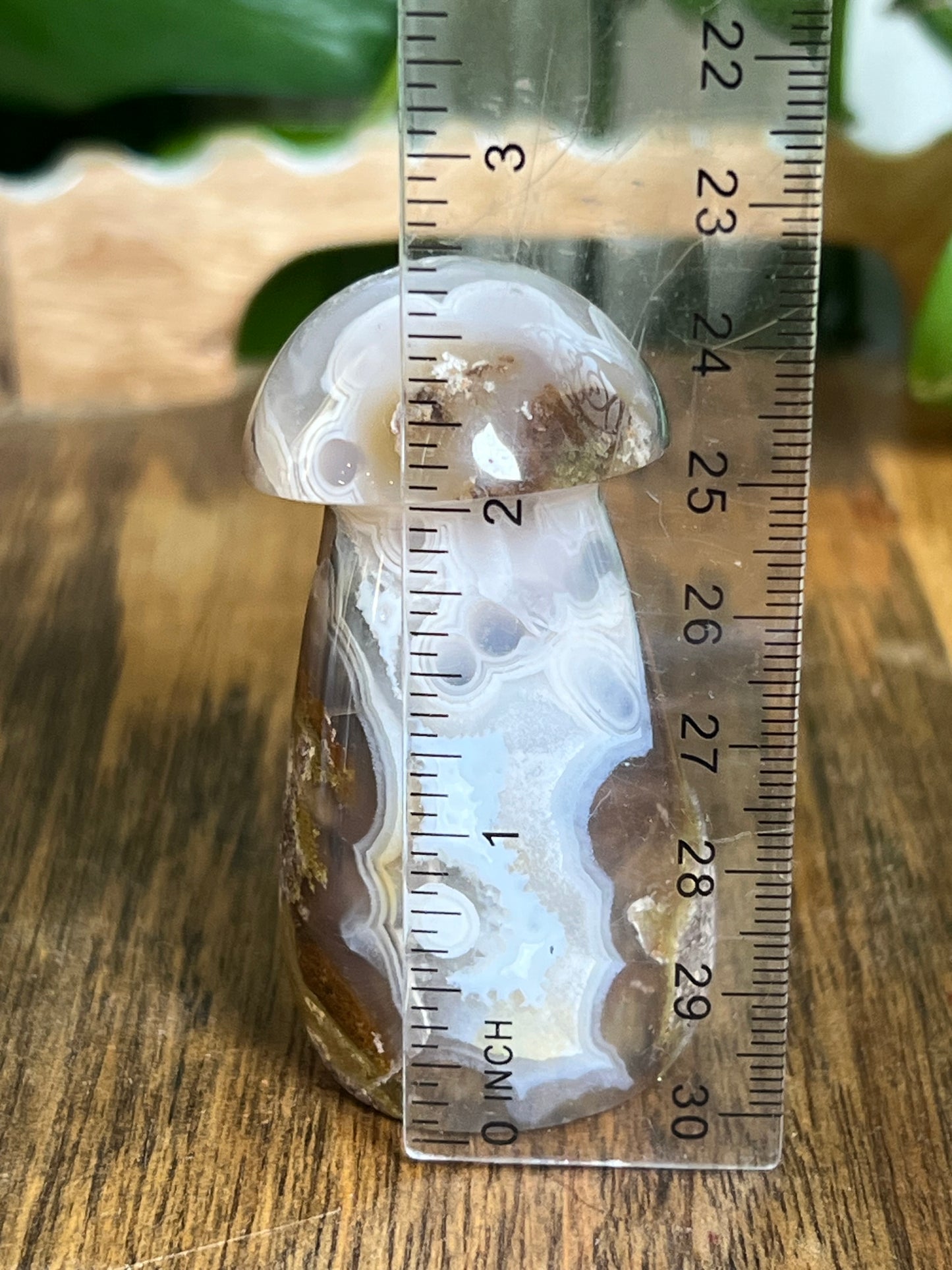 Scenic Moss Agate Mushroom