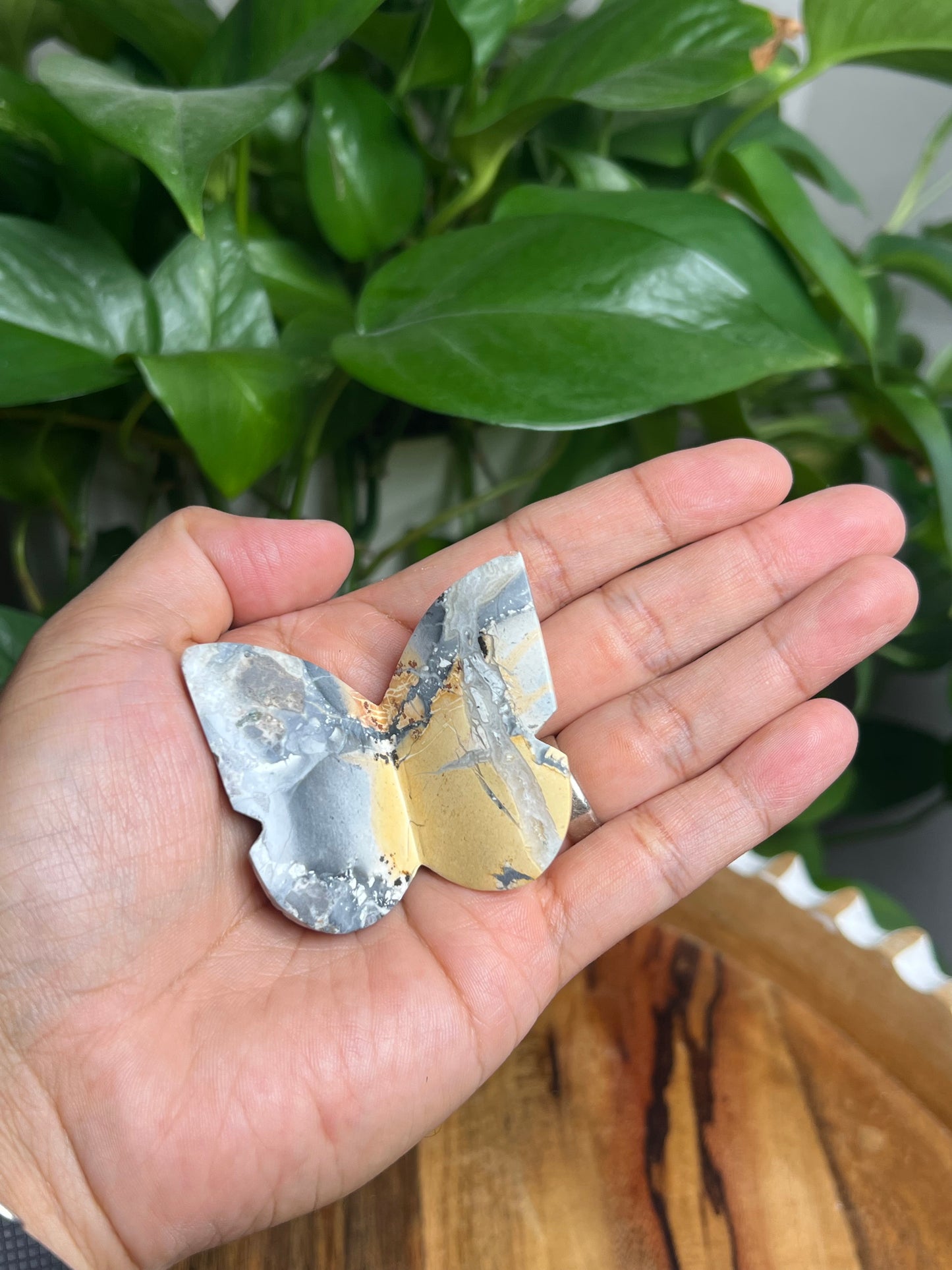 Maligano 3D Butterfly: AD