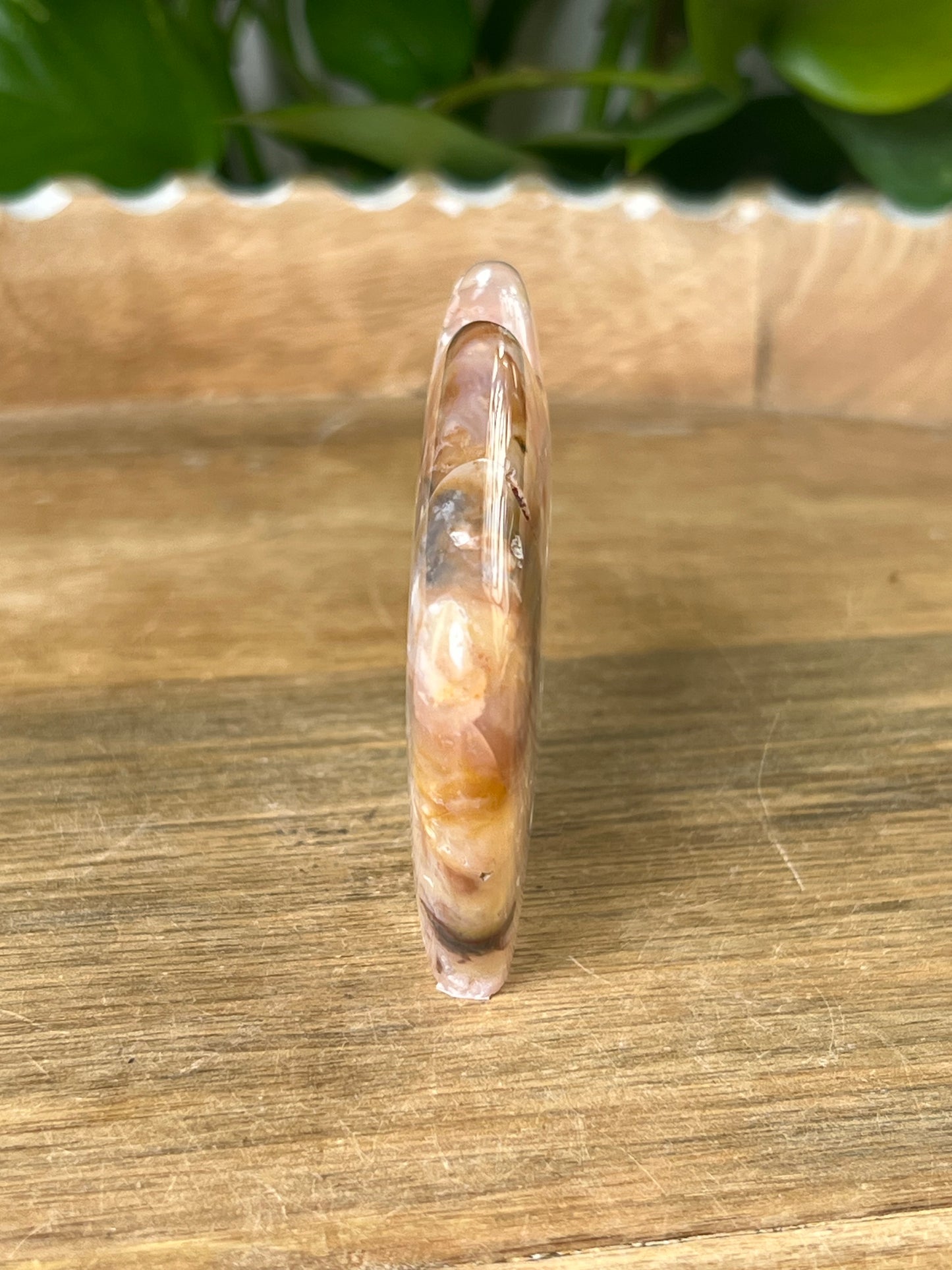 Rainbow Plume Agate Buffalo