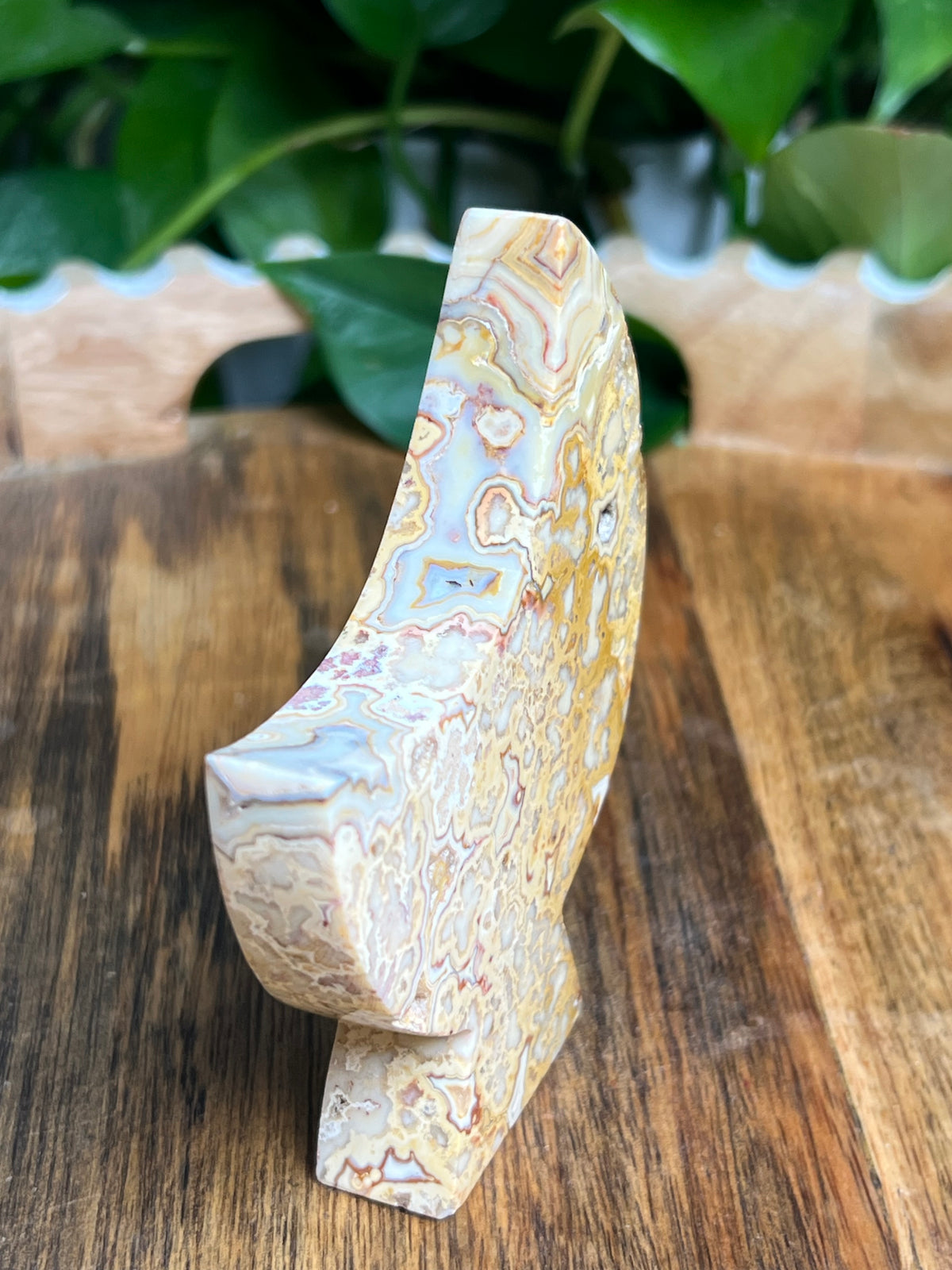 Crazy Lace Agate Self Standing Moon: Dk