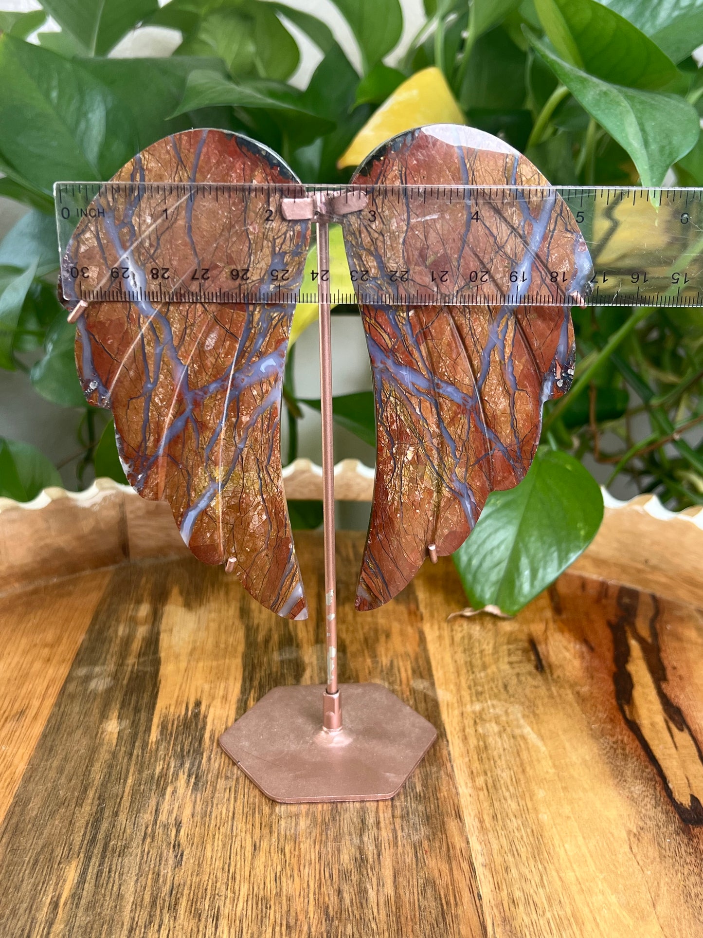 Brecciated Jasper Wings BA
