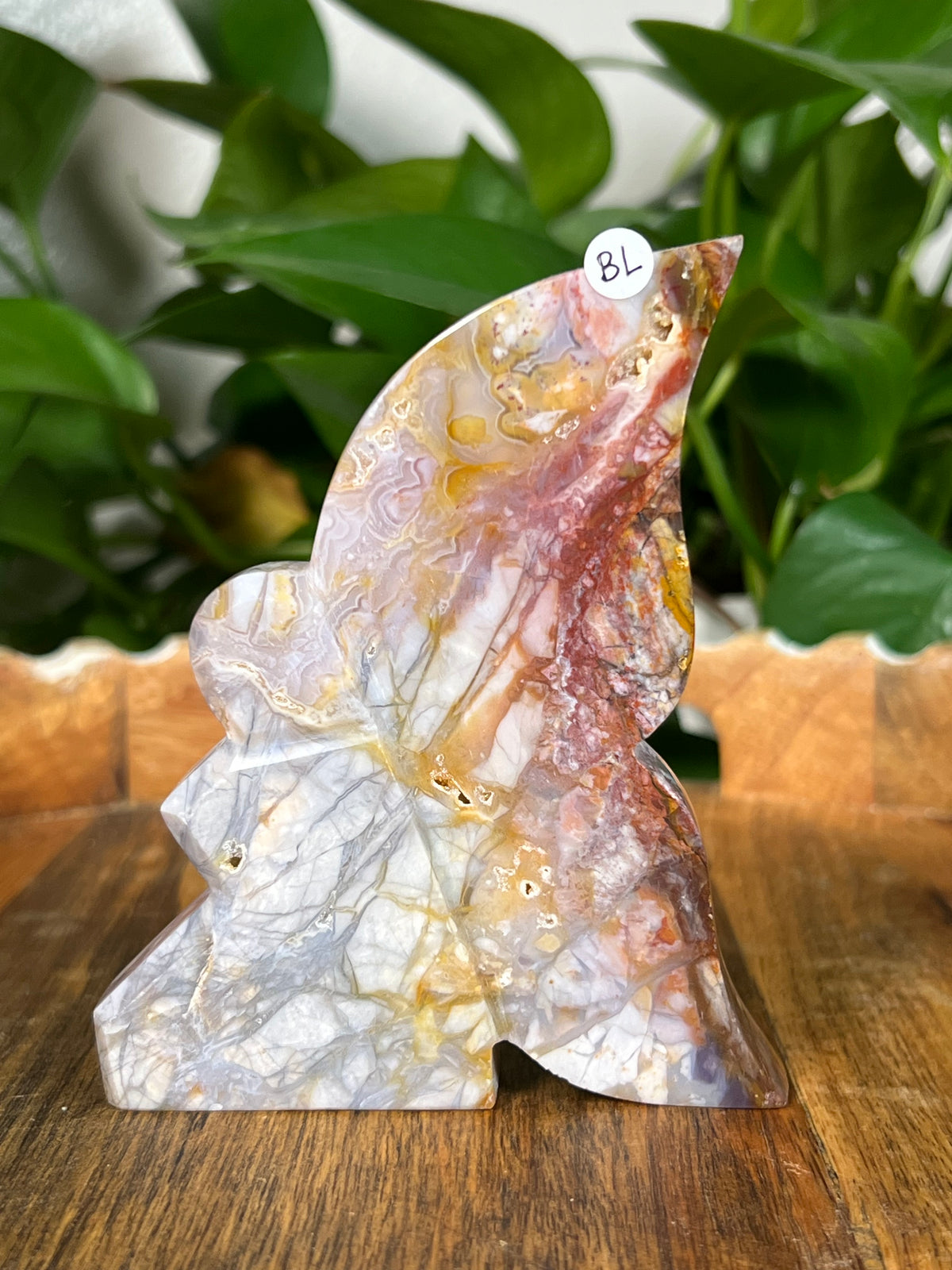 River Jasper Fairies