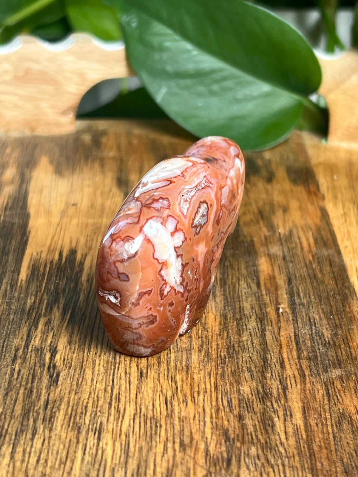 Carnelian Mini Buffalo: BE