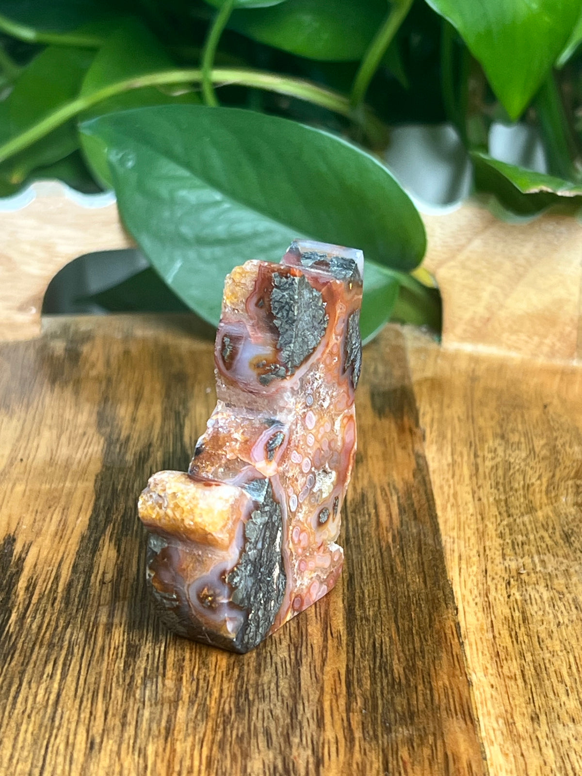 Marcasite Cat: XF