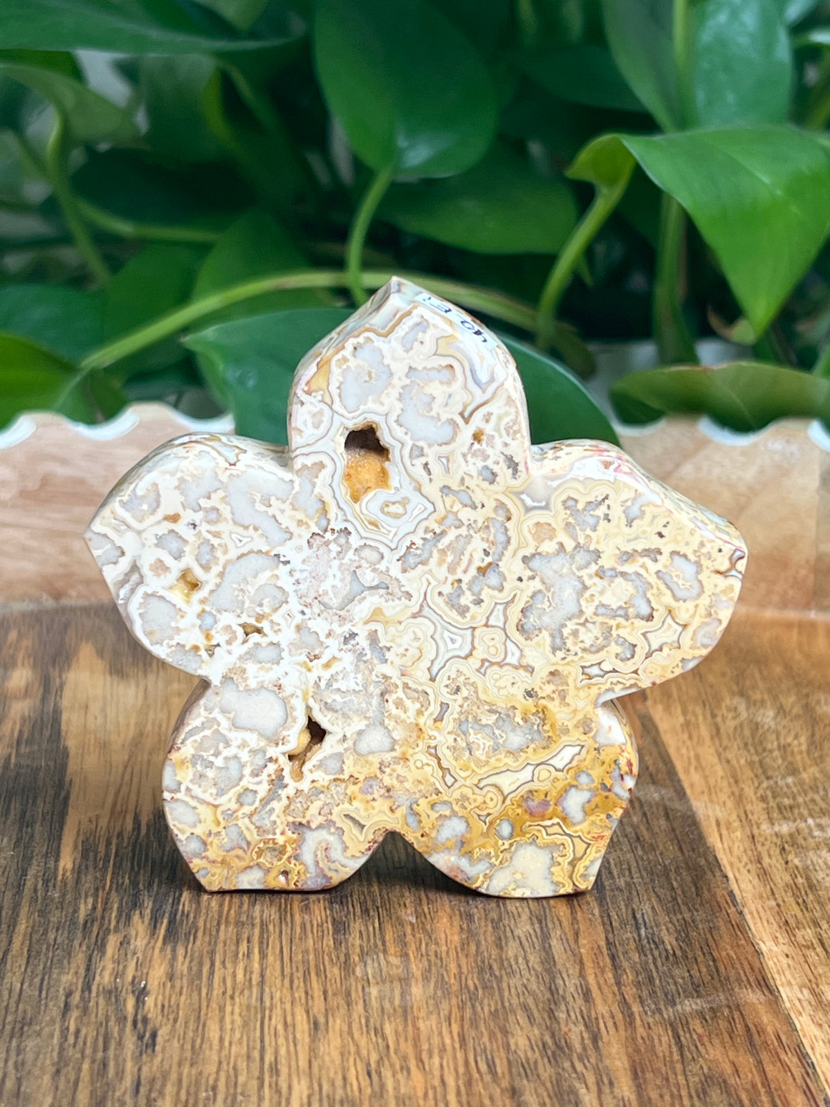 Crazy Lace Agate Flower: Ei