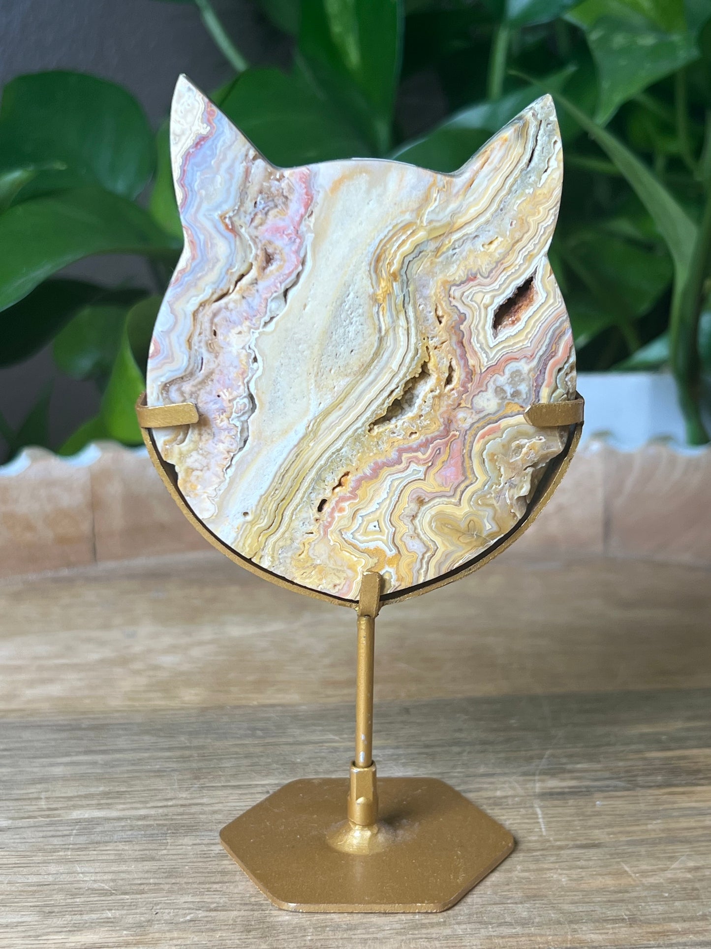 Crazy Lace Agate Cat
