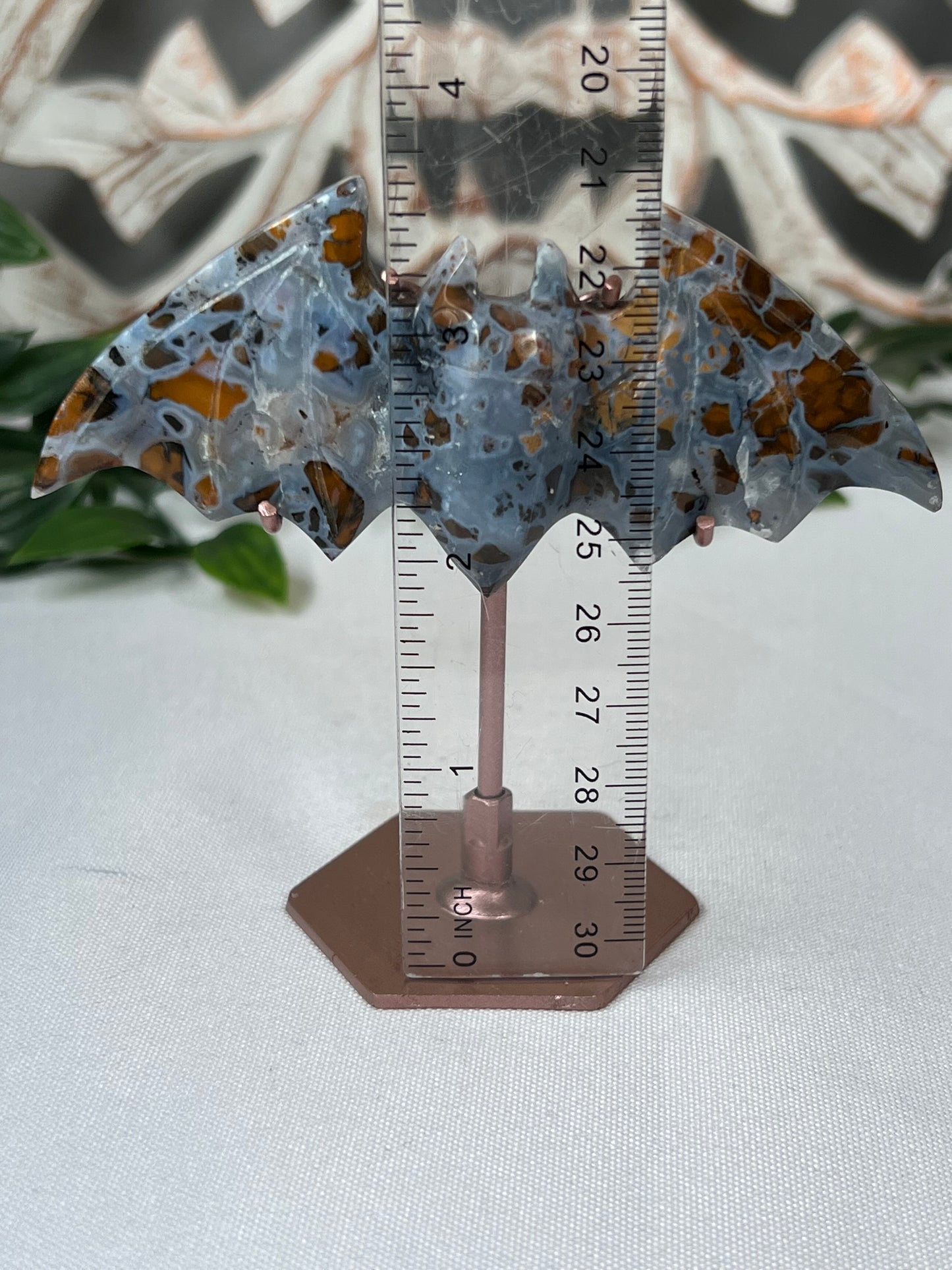 Indonesian Cotton Candy Bat