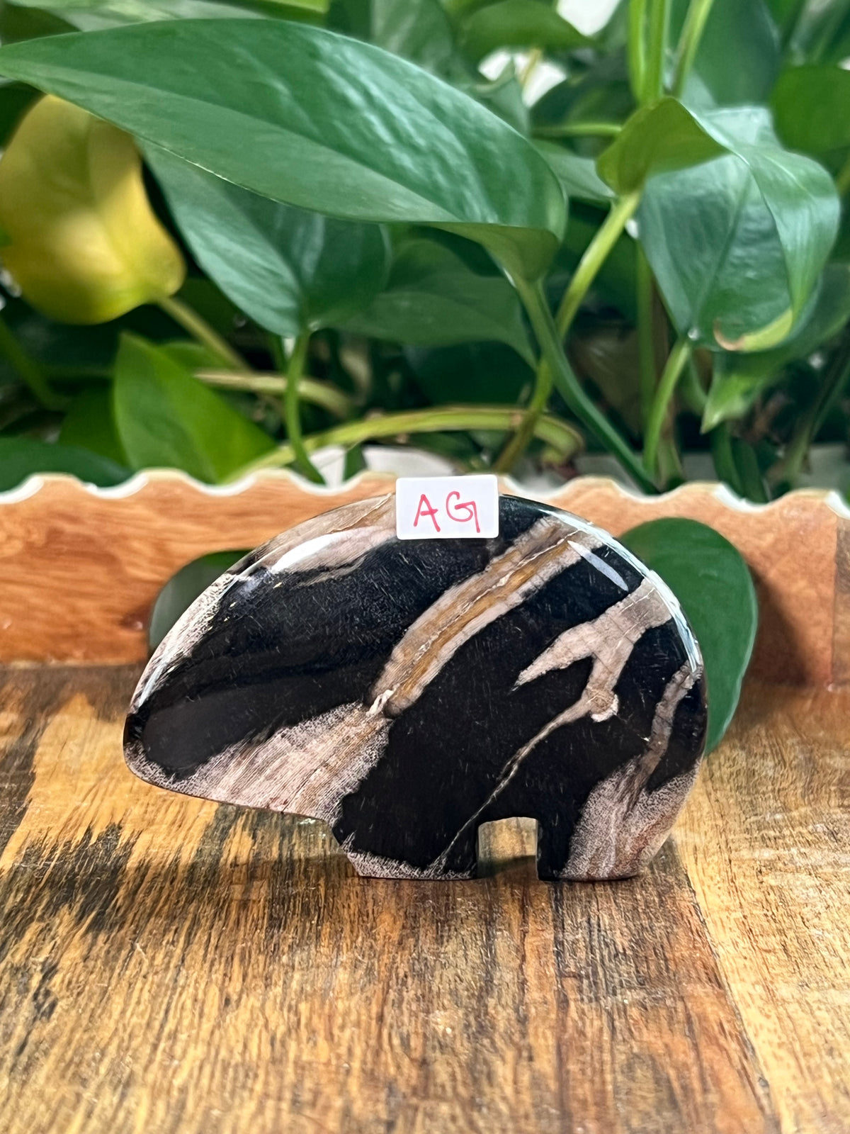 Fossil Wood Bears