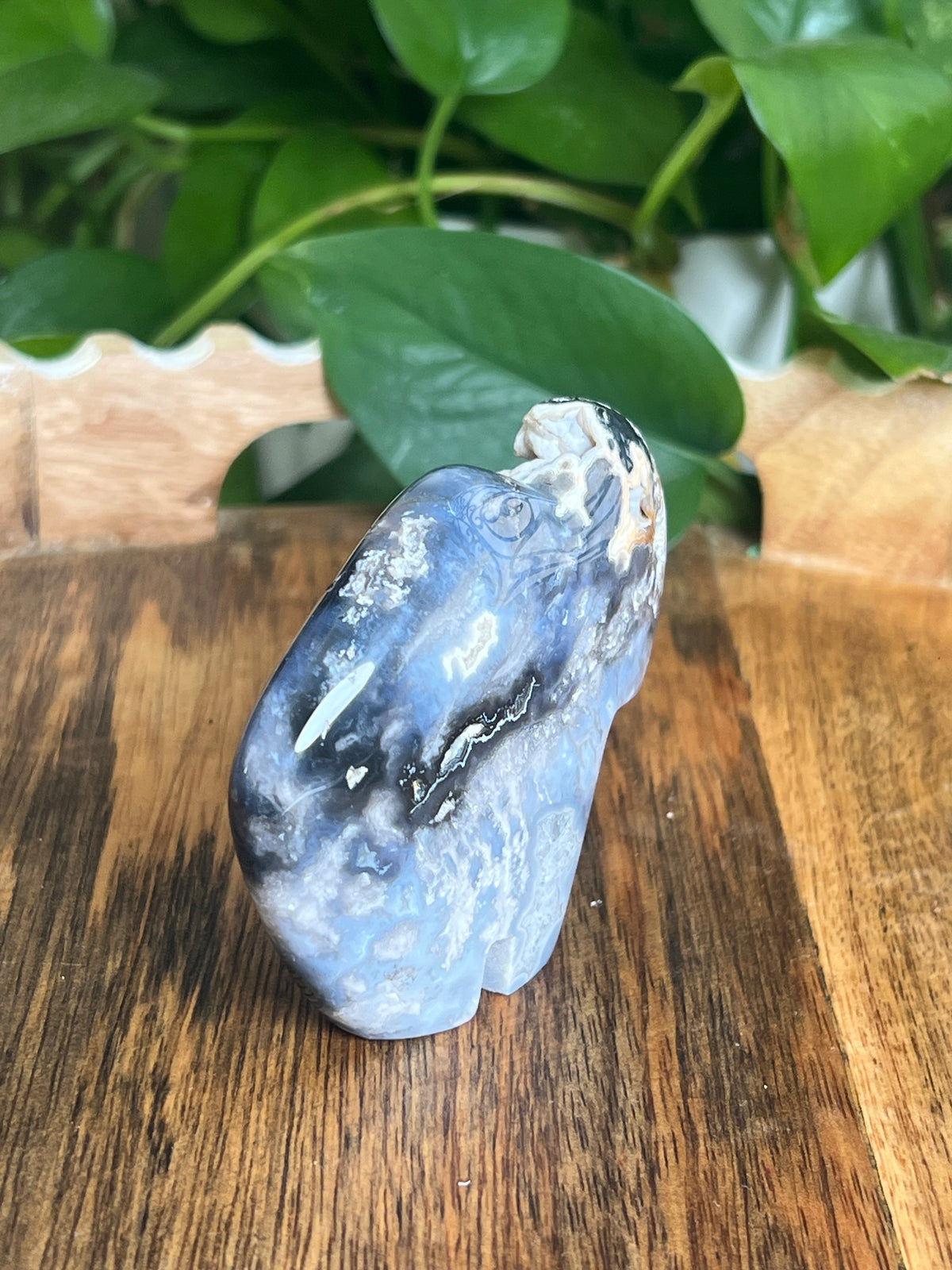 Blue Plume Agate Buffalo: BE