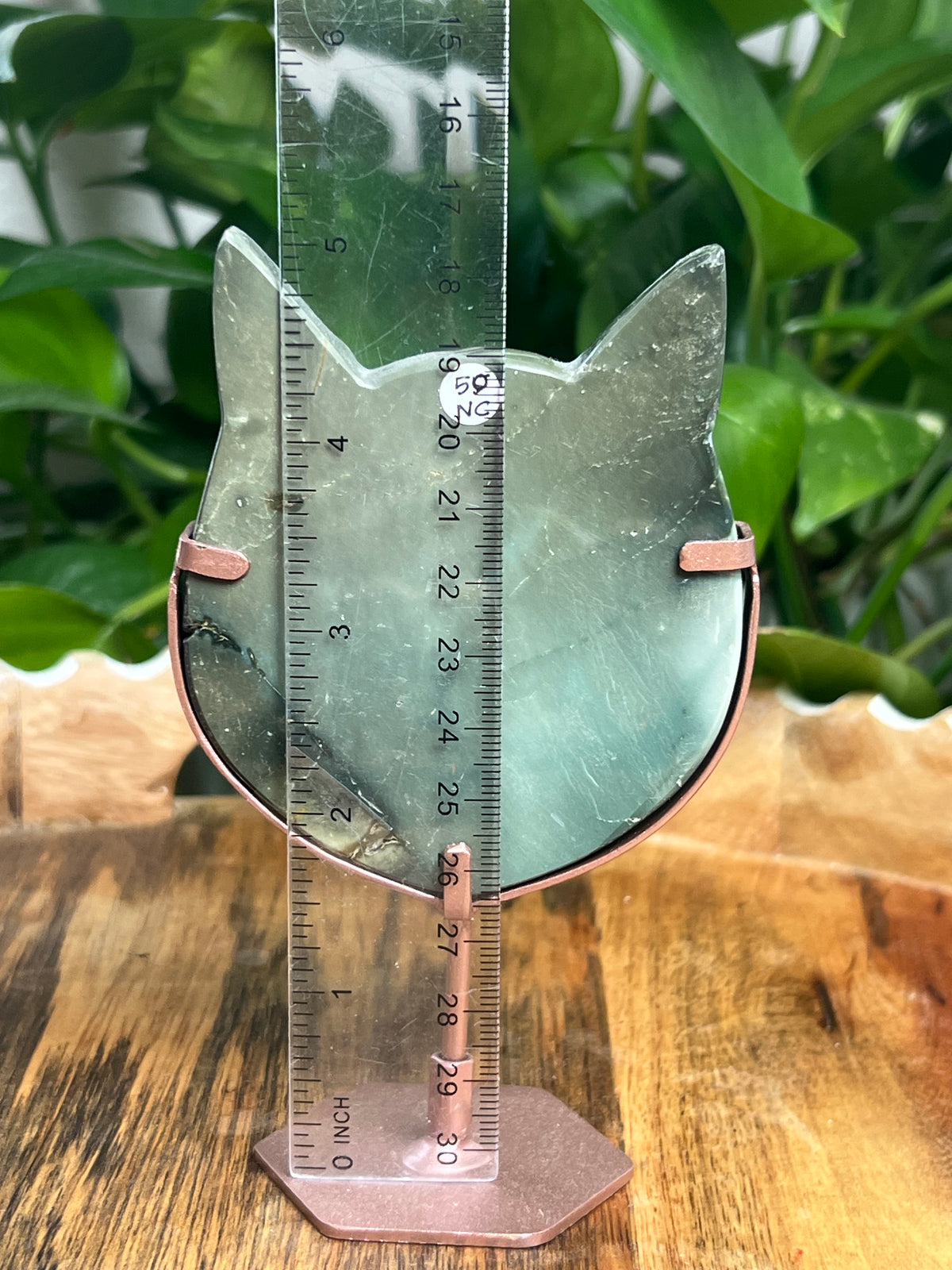 Blue Green Jasper Cat Head: NC
