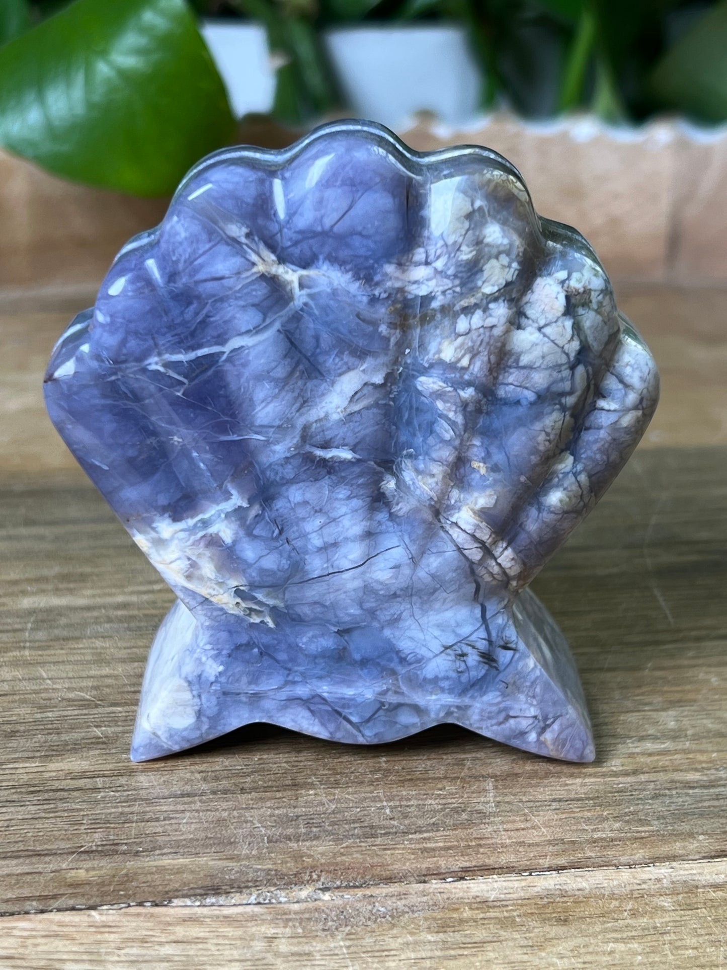 Purple Chalcedony Shell