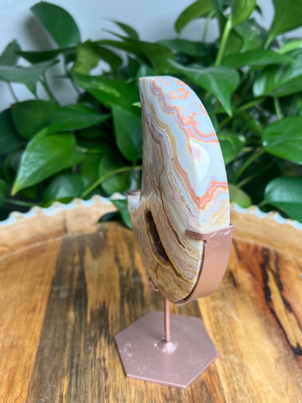 Crazy Lace Agate Large Moon: YP