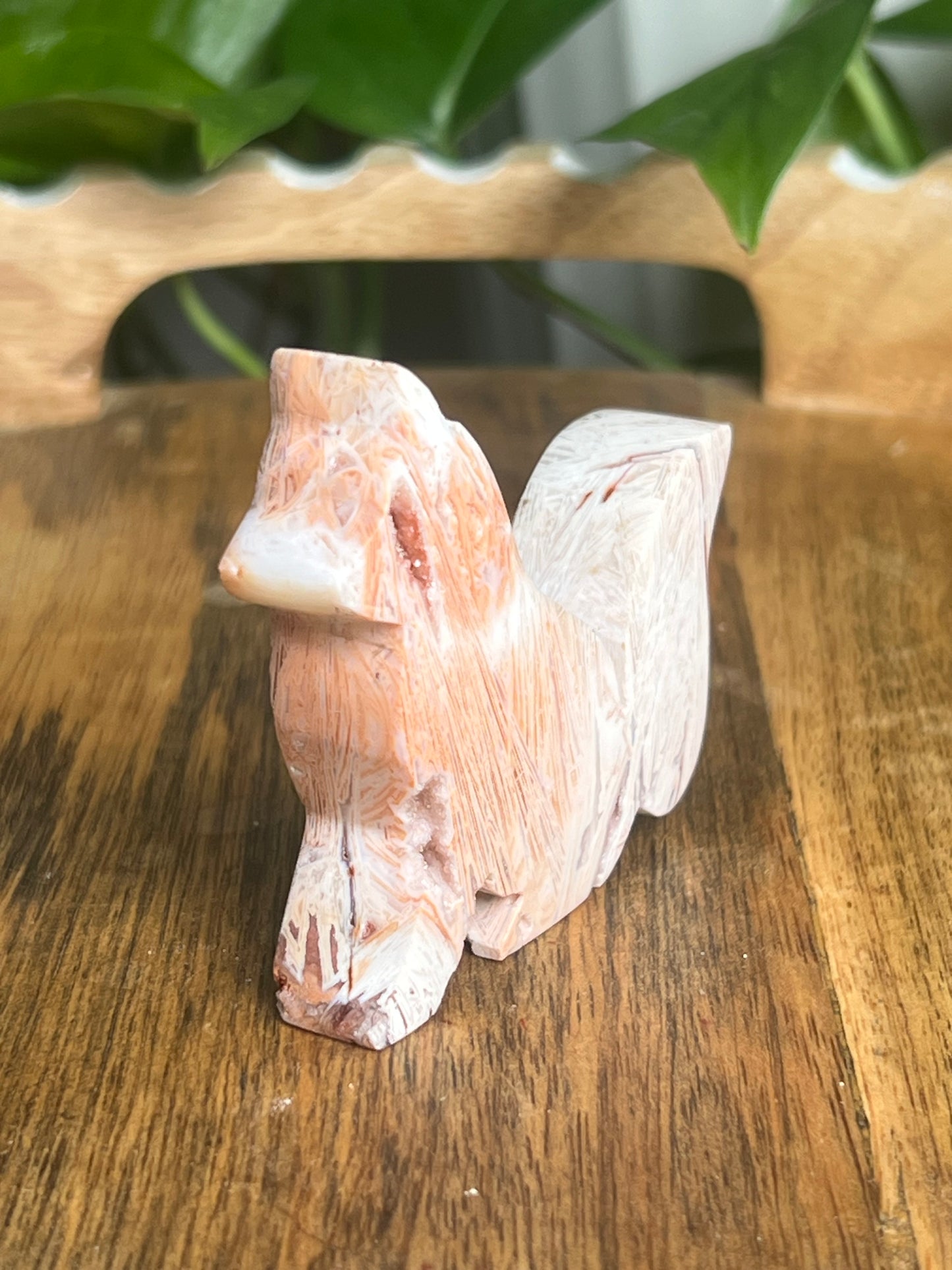 Tube Agate Fox BC
