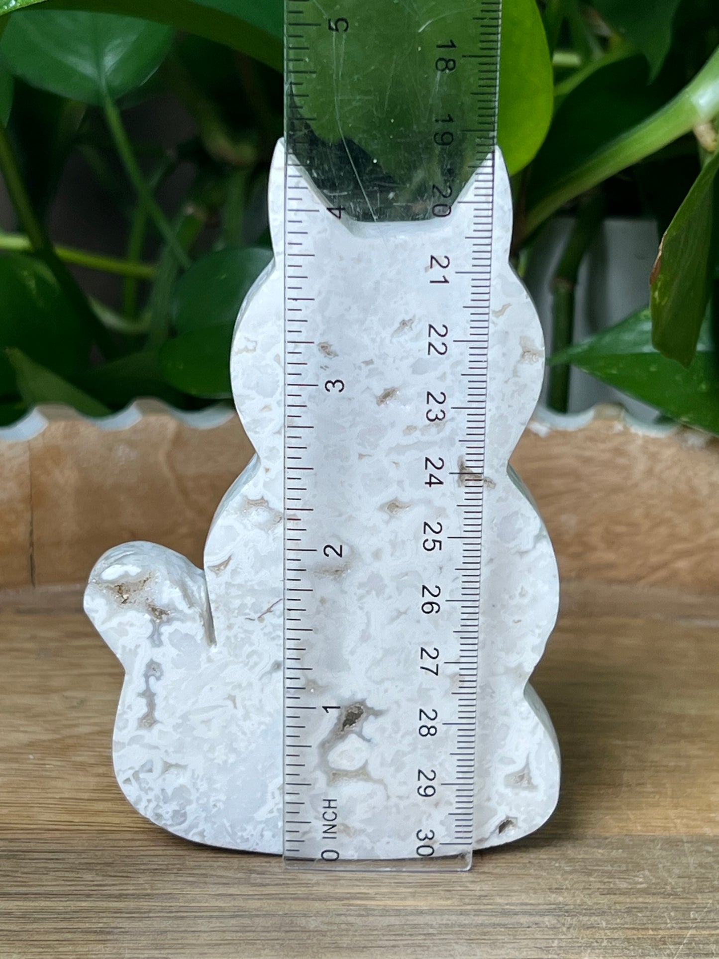 White Plume Agate Cat
