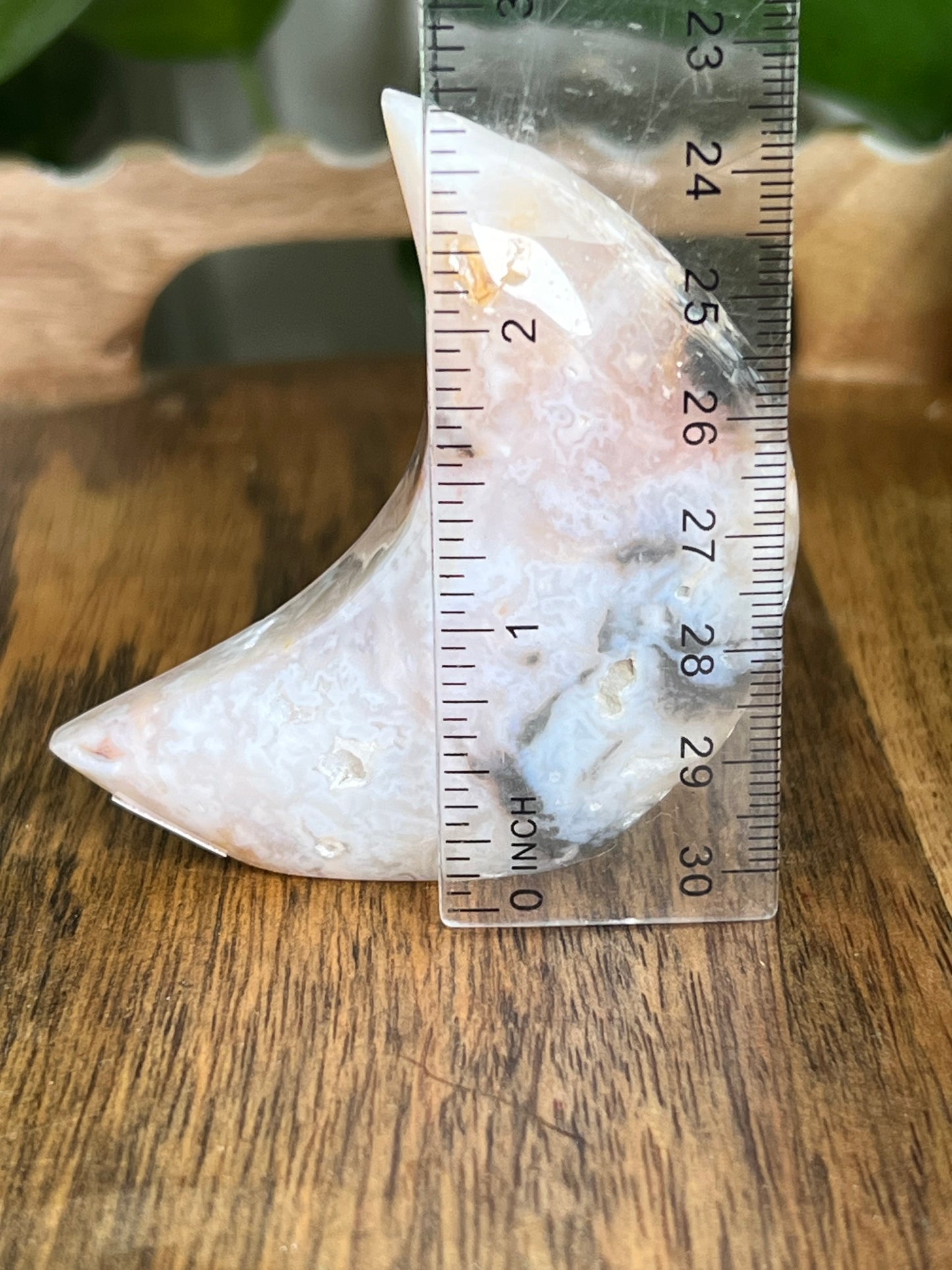 Rainbow Plume Agate Moon E