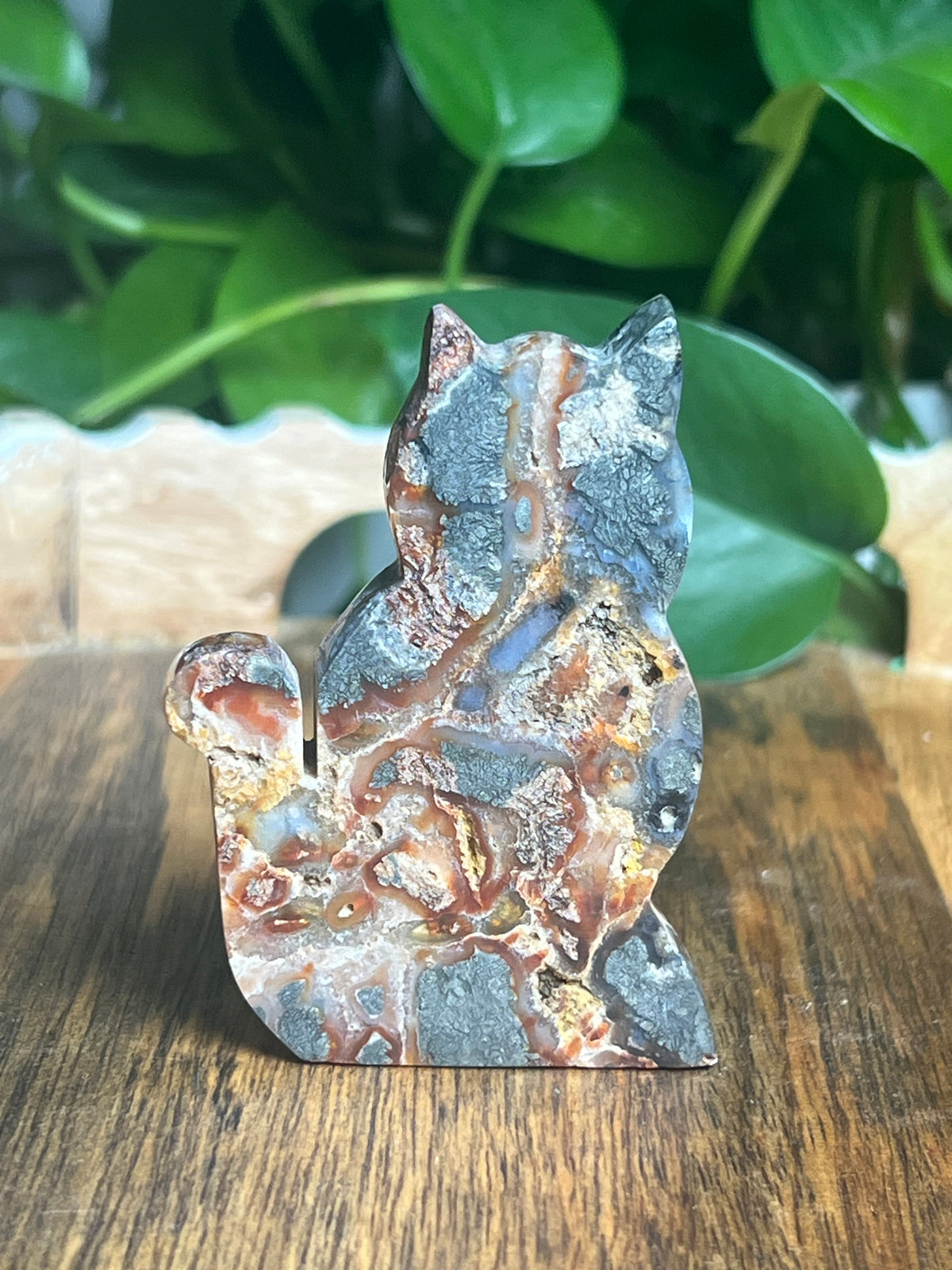 Marcasite Cat: DE