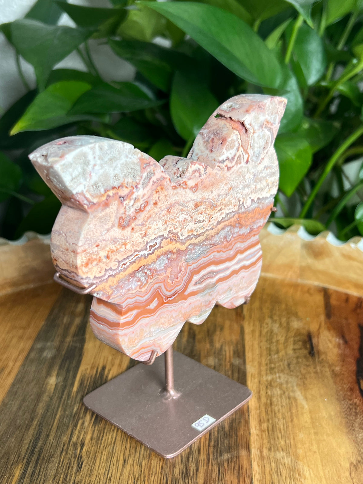 Crazy Lace Agate Butterfly: D