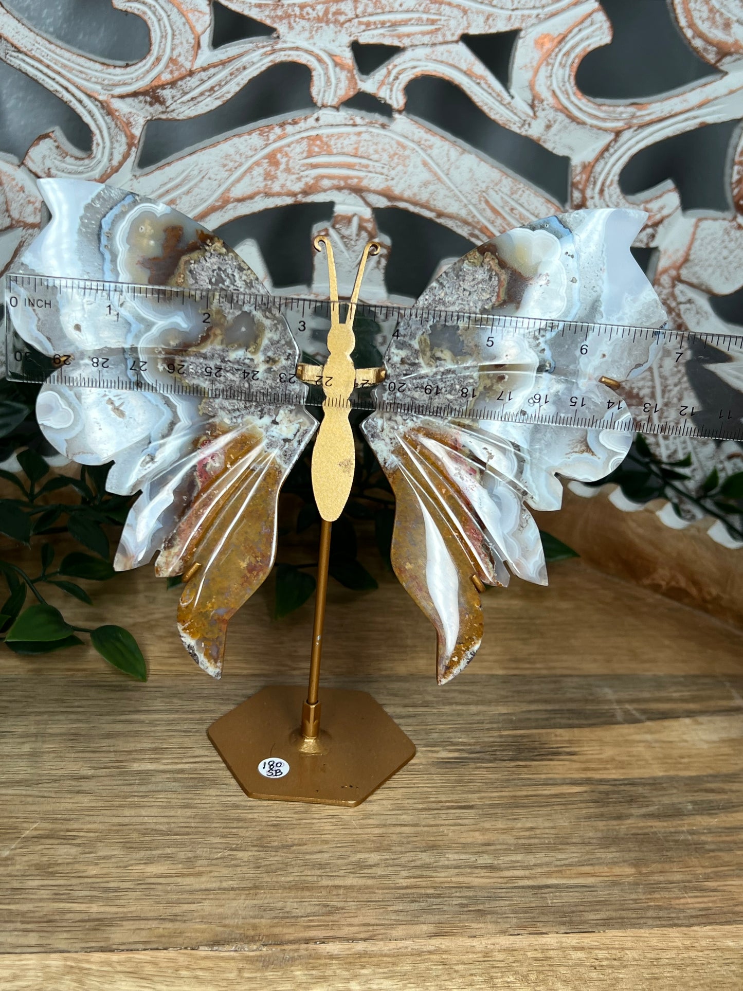 Scenic Moss Agate Wings