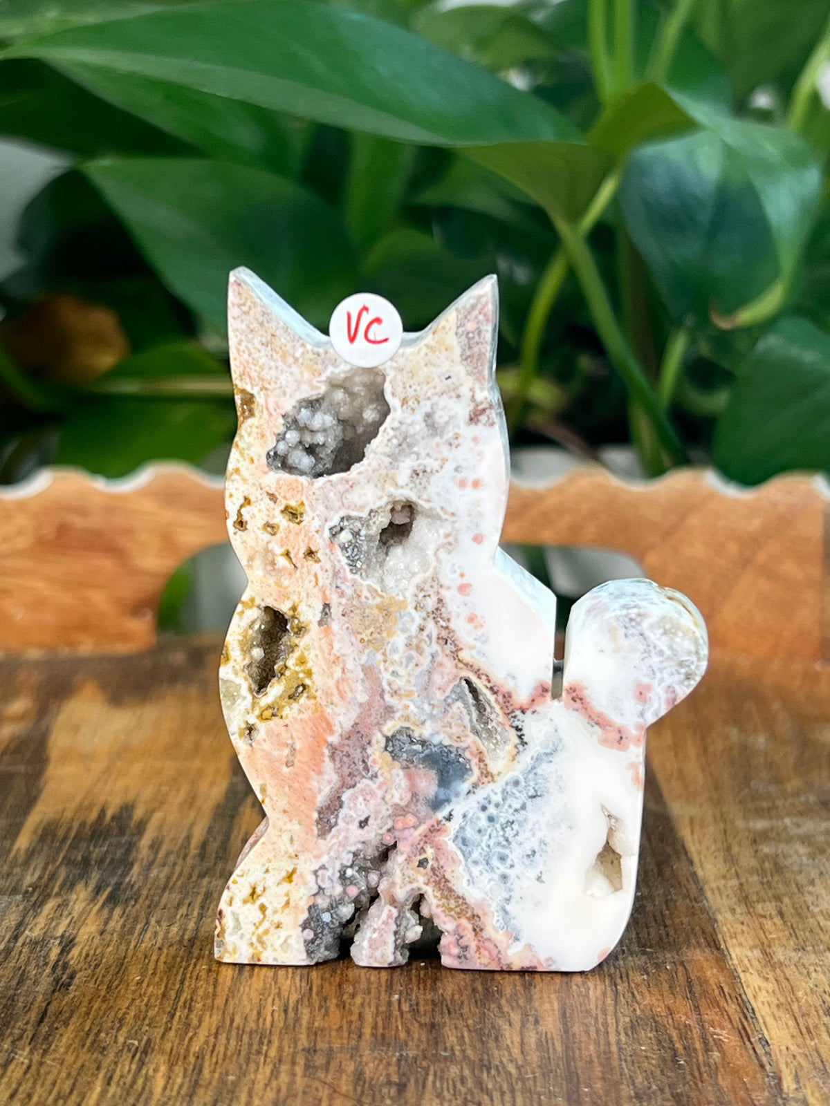 Sea Jasper Cats- Small