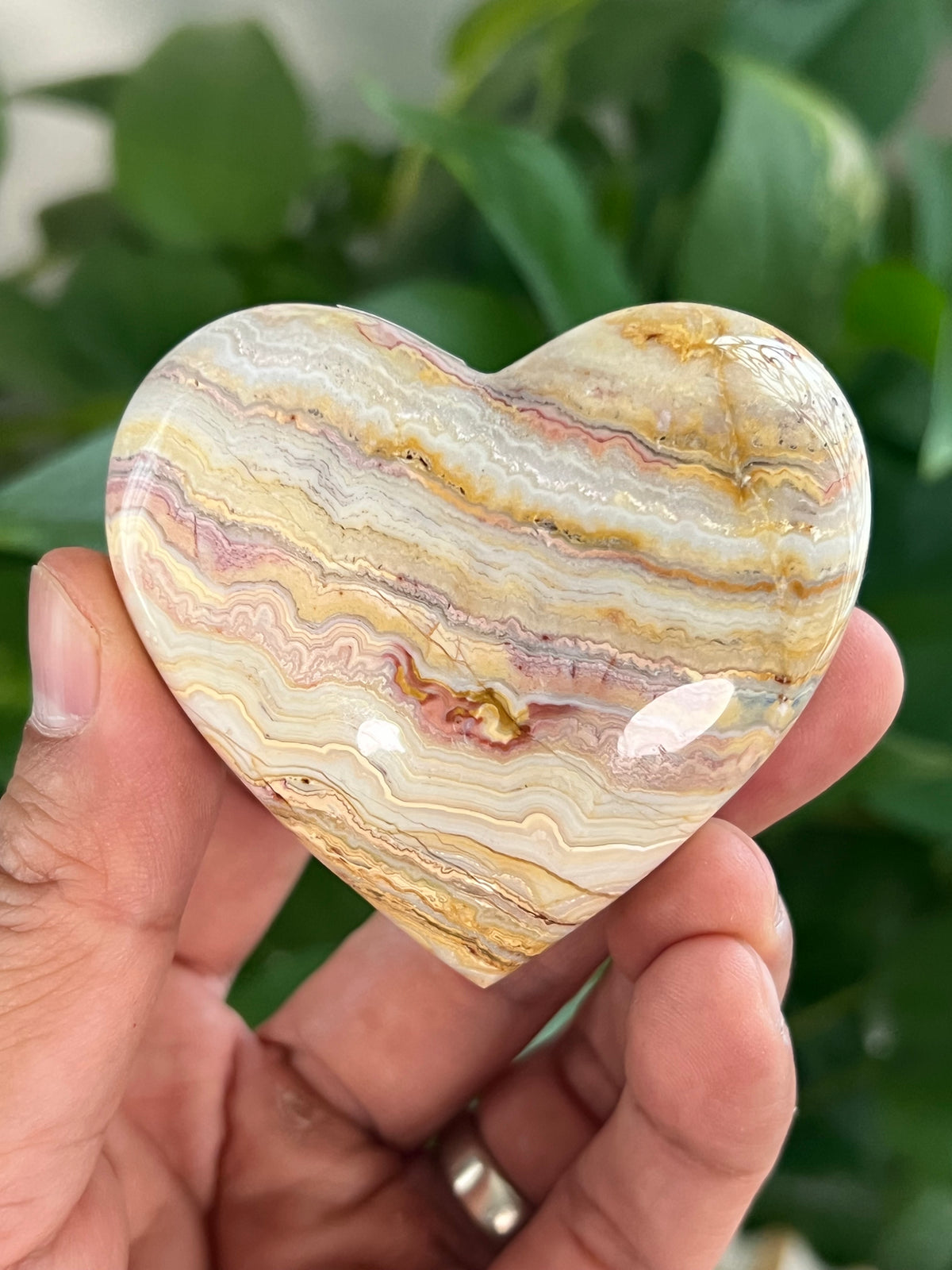 Crazy Lace Agate Small Puffy Moons